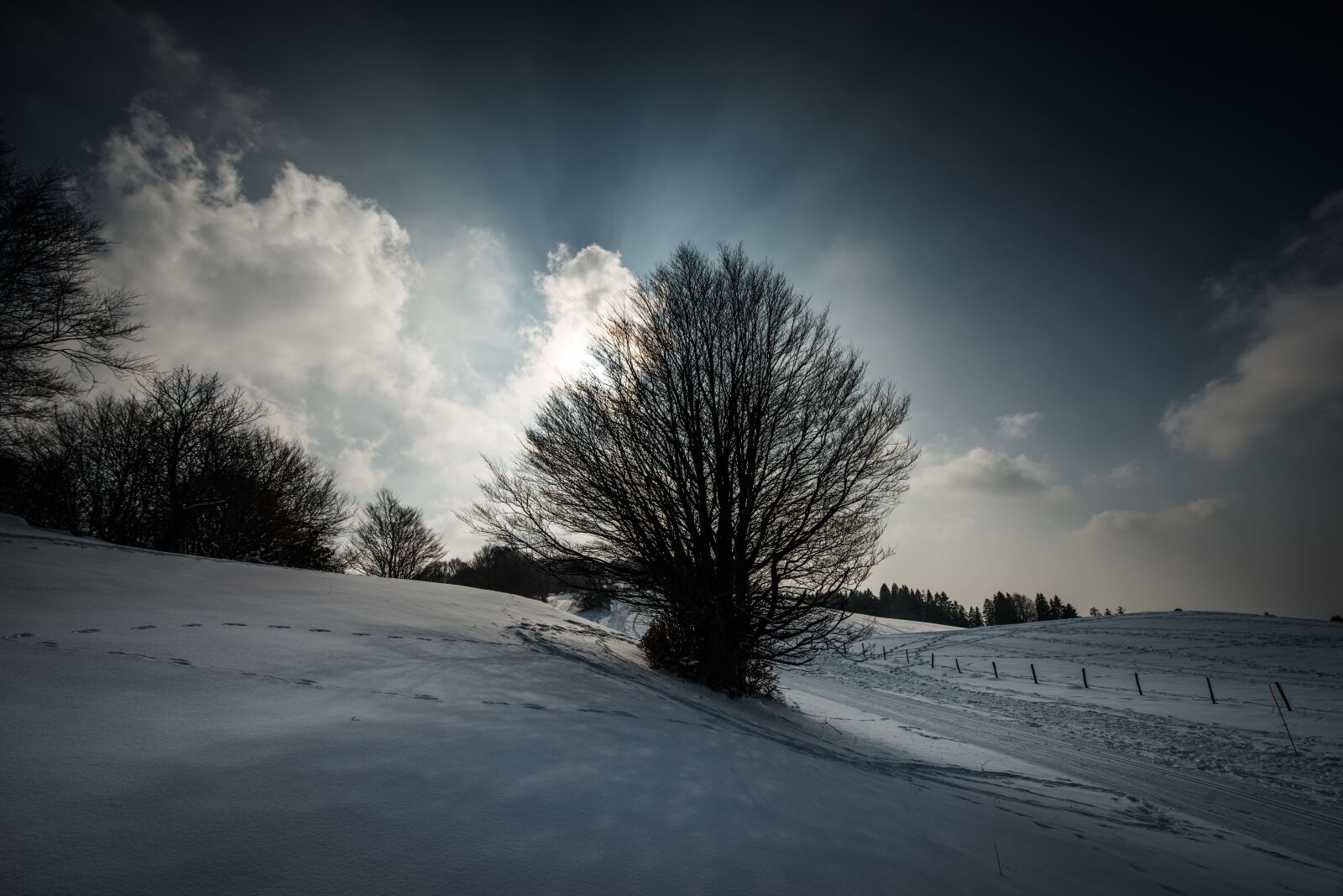 Nikon D800 sample photo. Mountain, trees, nature photography