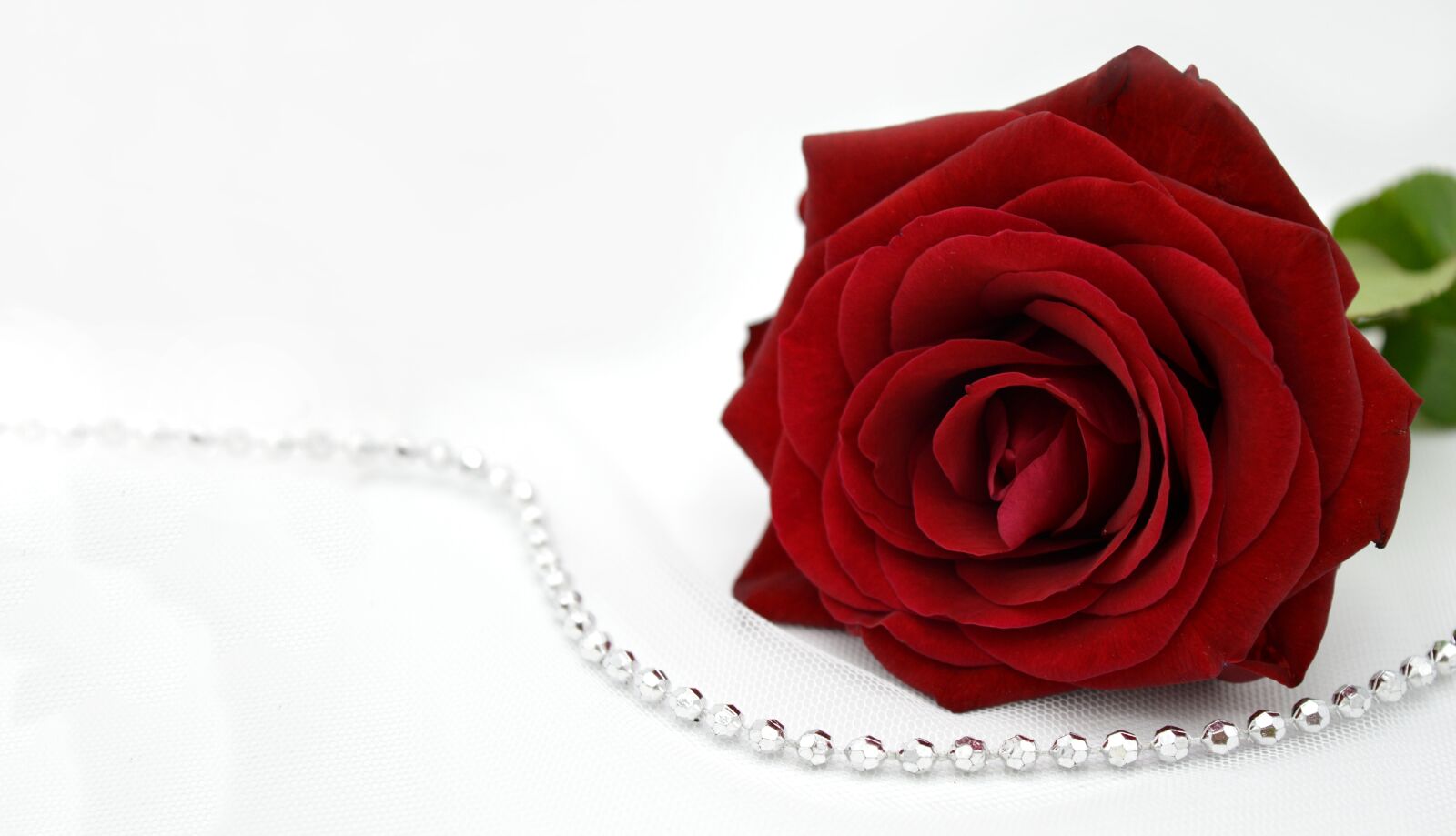 Nikon D3200 sample photo. Wedding veil, rose, red photography