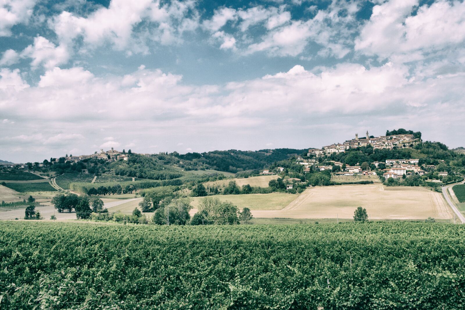 Nikon D5200 sample photo. Wine, vineyard, grapes photography