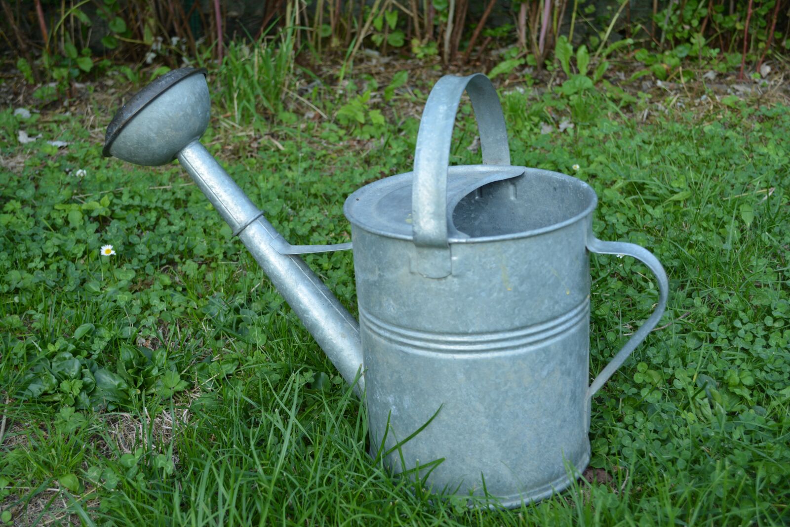 Nikon D5200 sample photo. Watering can, garden, vegetable photography