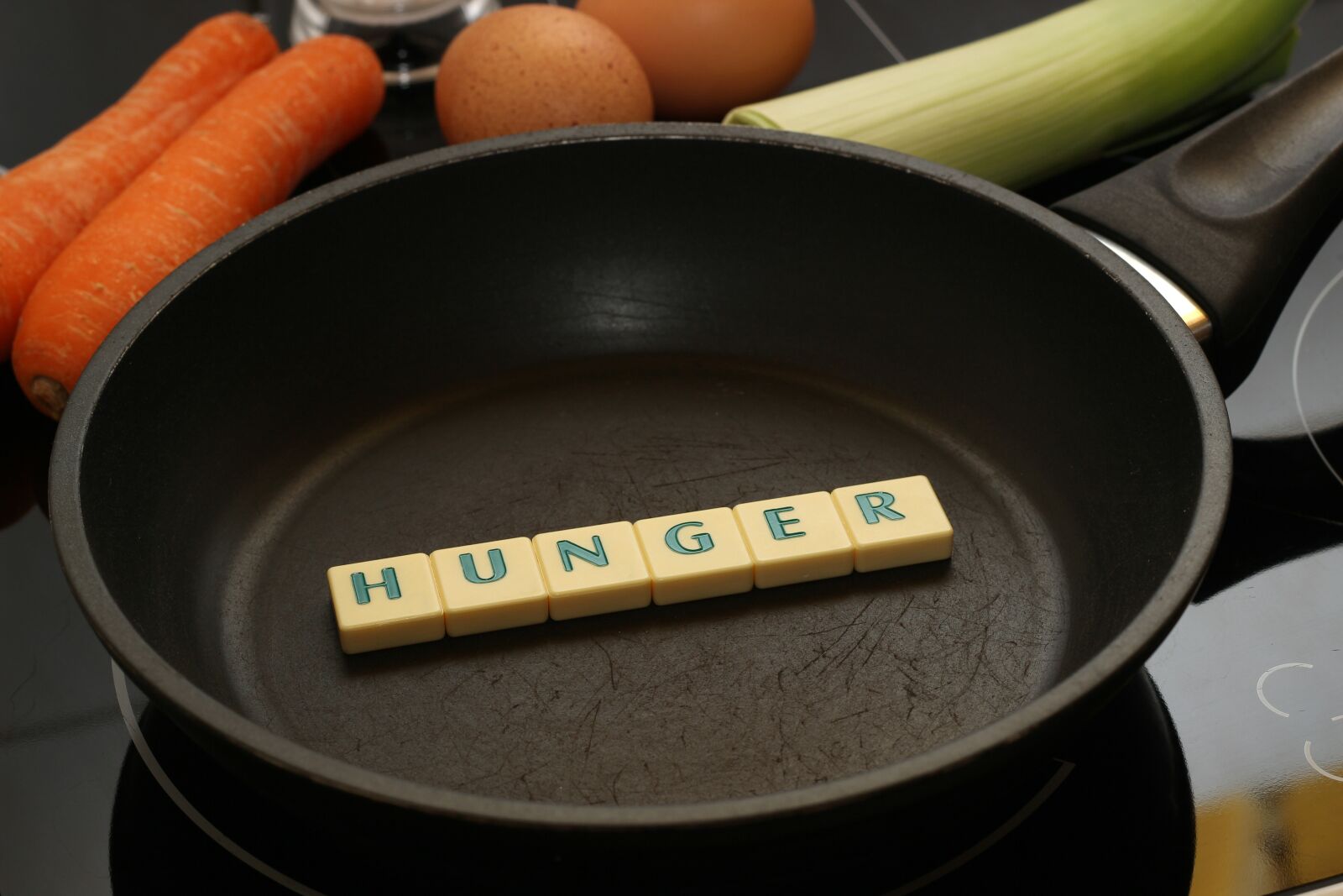 Canon EOS 600D (Rebel EOS T3i / EOS Kiss X5) sample photo. Hunger, pan, food photography