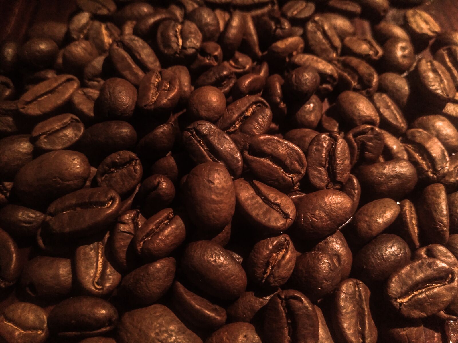 HMD Global Nokia 5 sample photo. Coffee, kopi, roasted photography