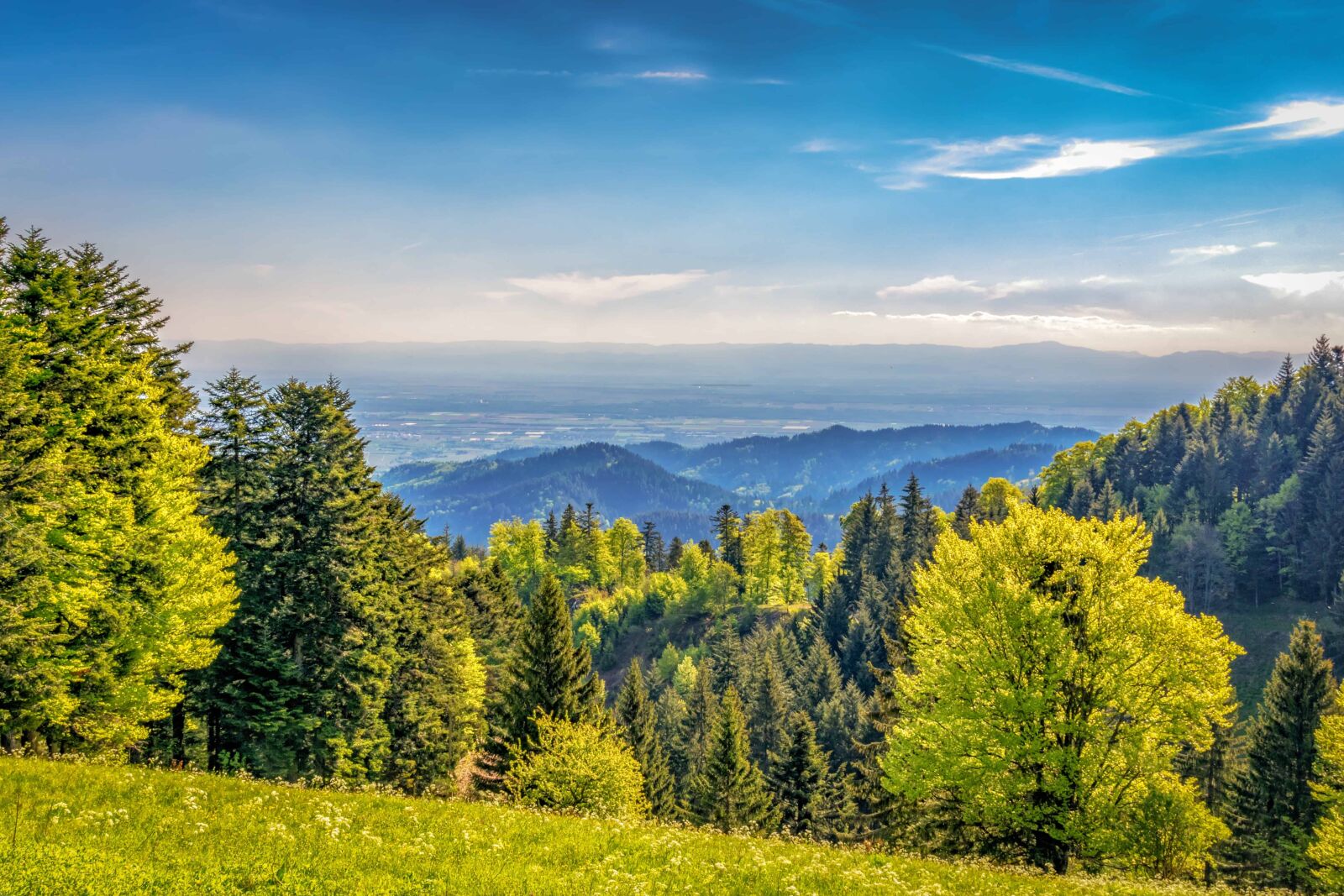 Nikon D3300 sample photo. Landscape, mountain, nature, wood photography