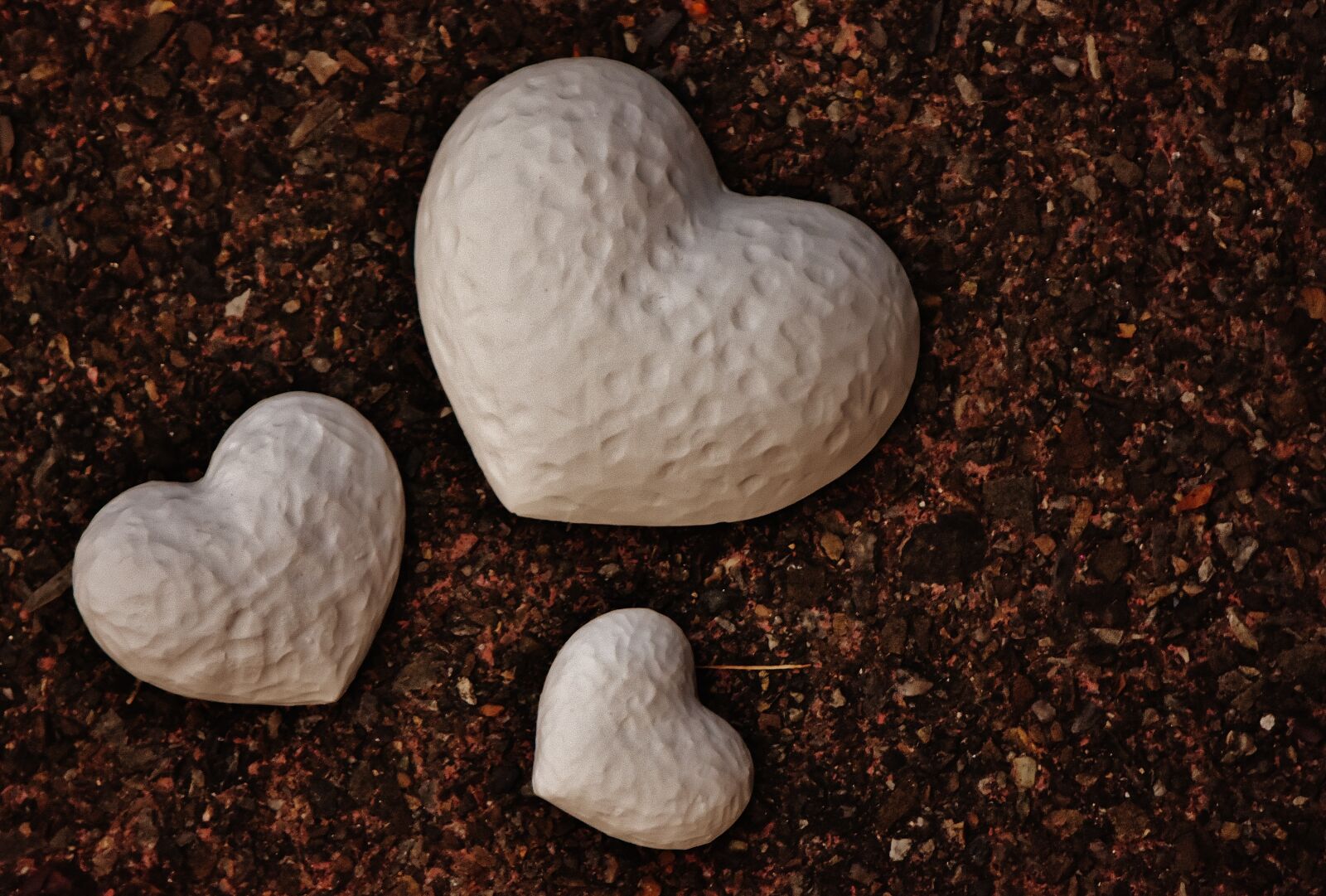 Nikon D7200 sample photo. Heart, gypsum, blanks photography