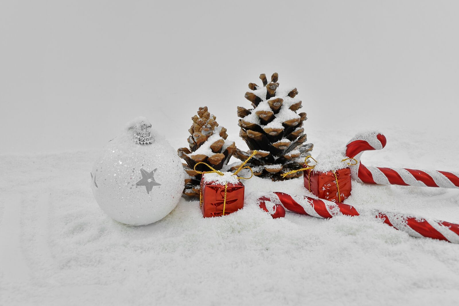 Nikon D5500 sample photo. Christmas, decoration, elegant, gifts photography