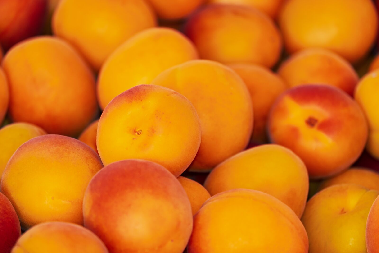 Fujifilm XF 55-200mm F3.5-4.8 R LM OIS sample photo. Apricots, apricot, fruit photography