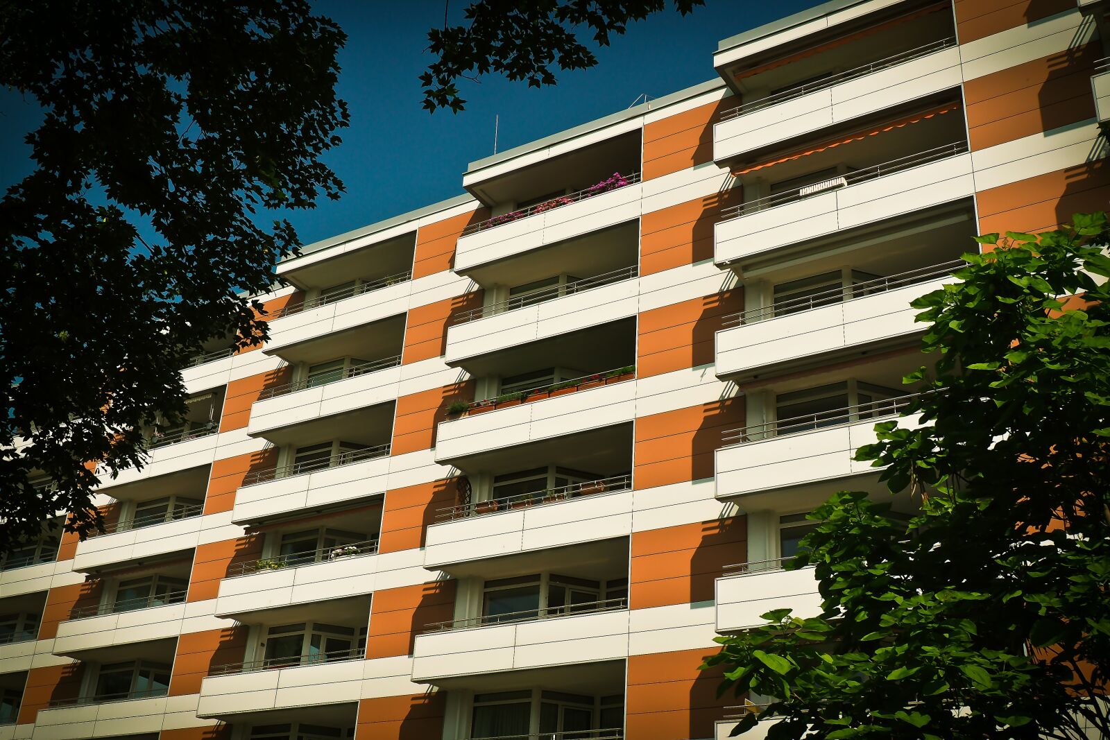 Olympus OM-D E-M10 sample photo. Architecture, modern, building photography