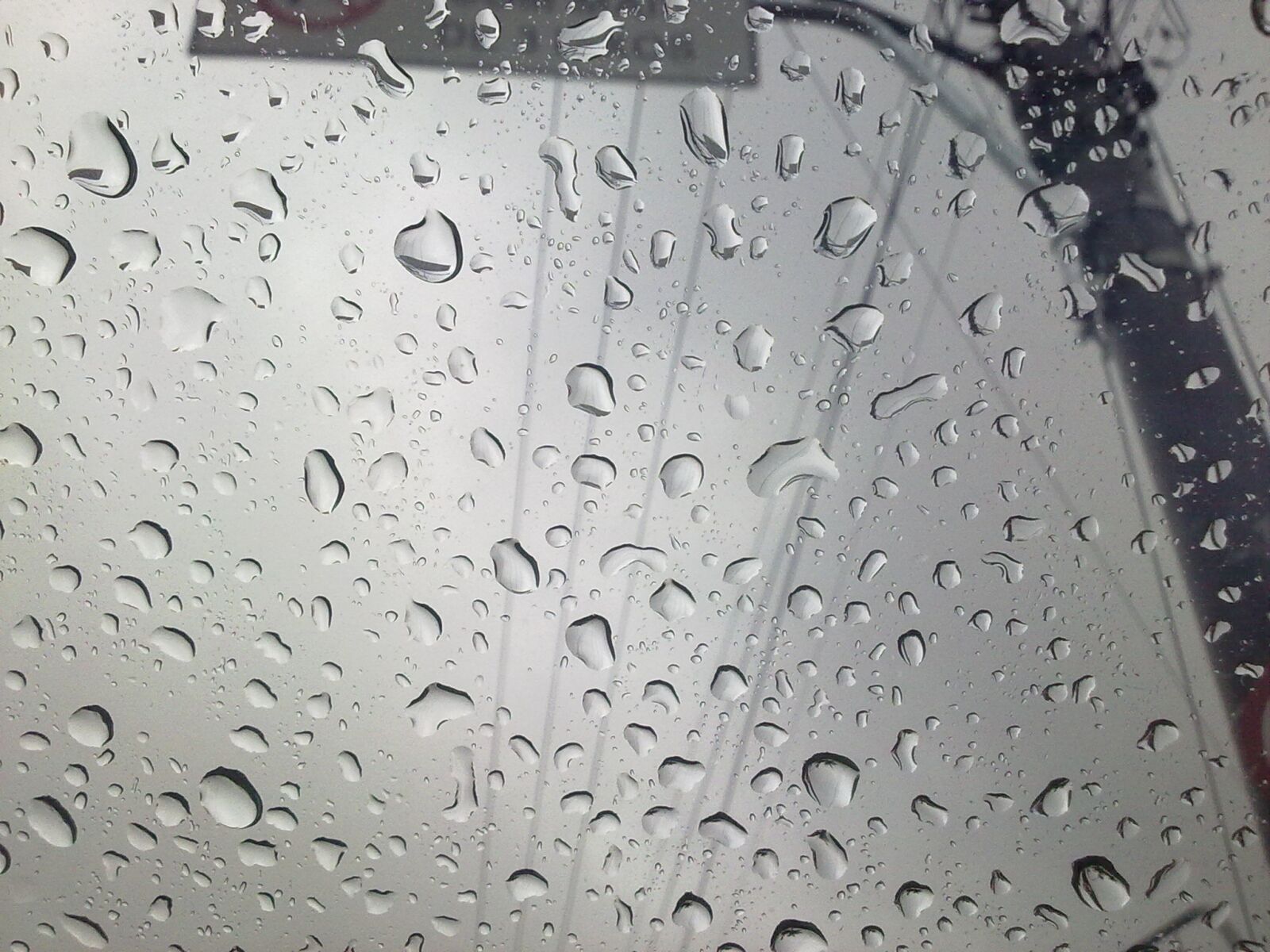 Nokia 5530 sample photo. Rain, drops, liquid photography