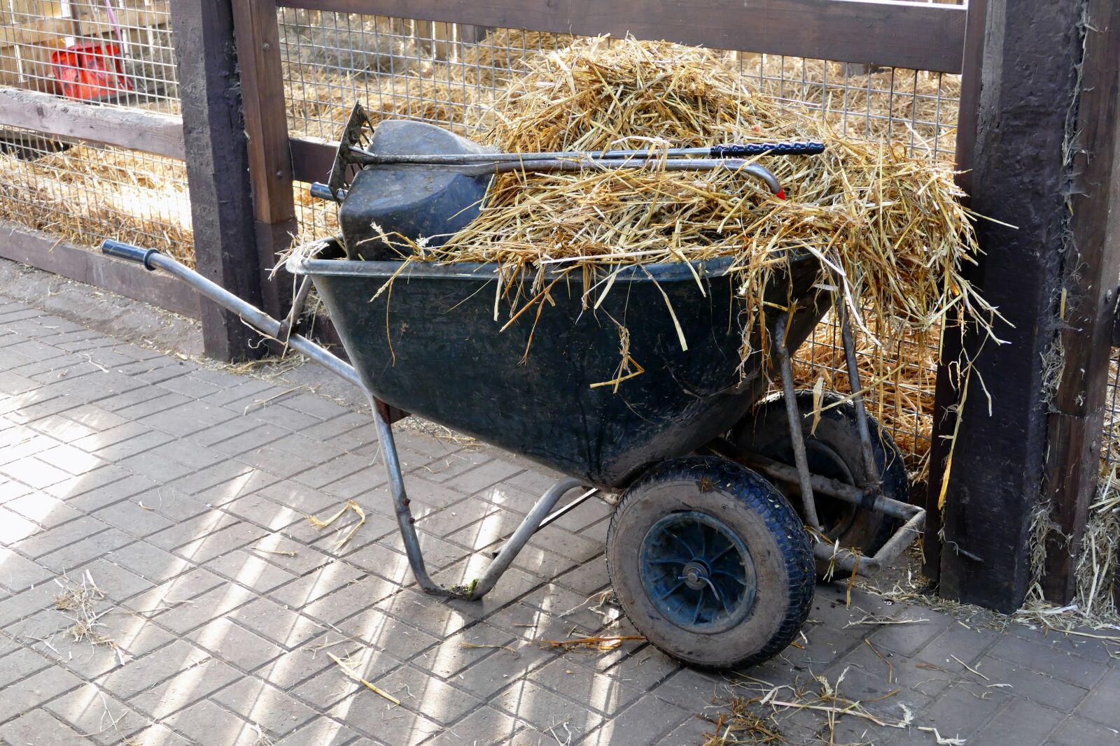 Panasonic Lumix DMC-FZ1000 sample photo. Hay, straw, wheel barrow photography