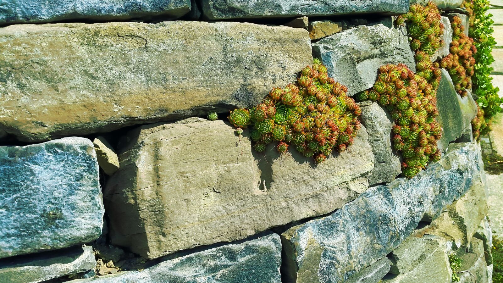 Samsung Galaxy Alpha sample photo. Stone wall, fouling, wall photography