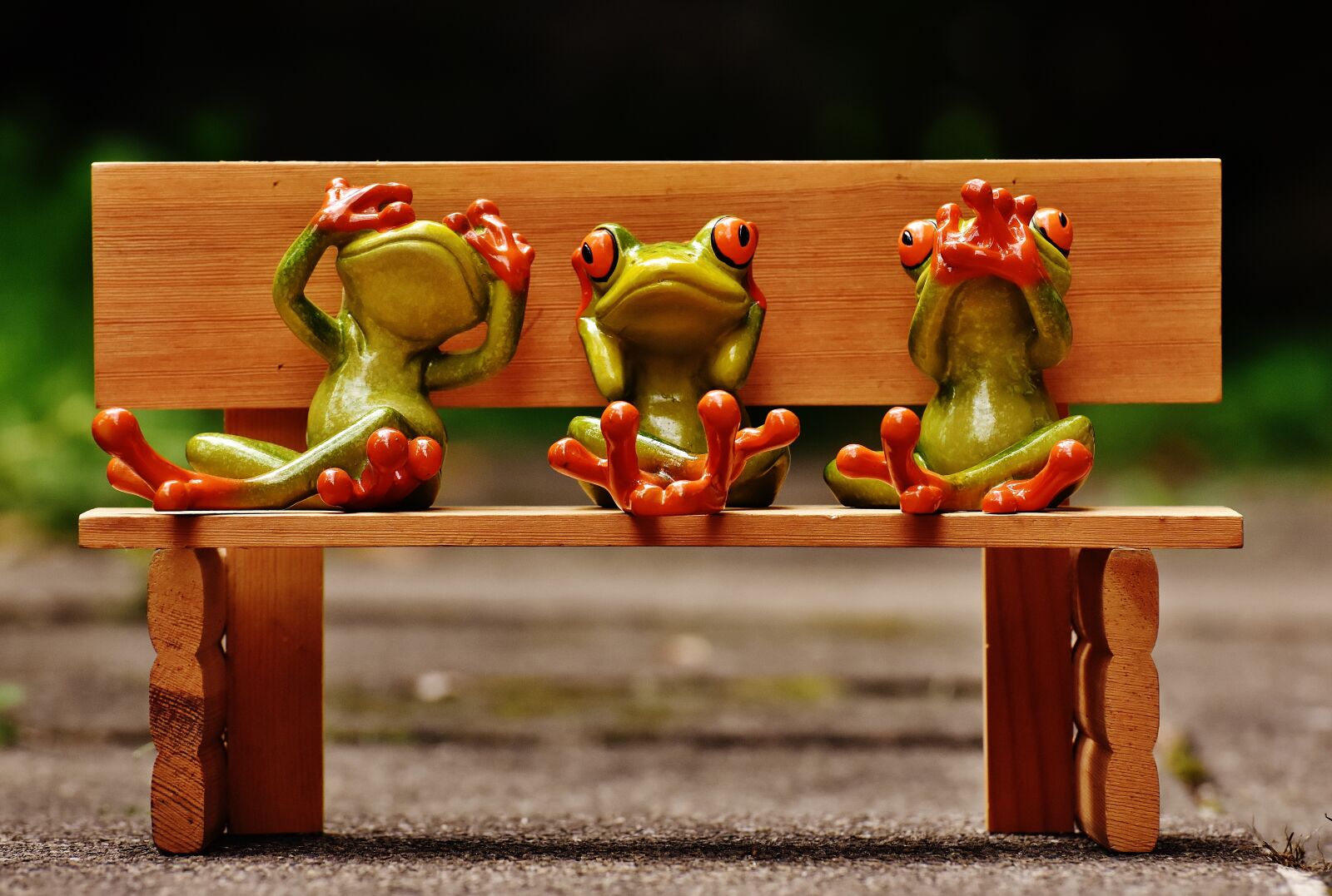 Nikon D7200 sample photo. Frogs, not see, not photography