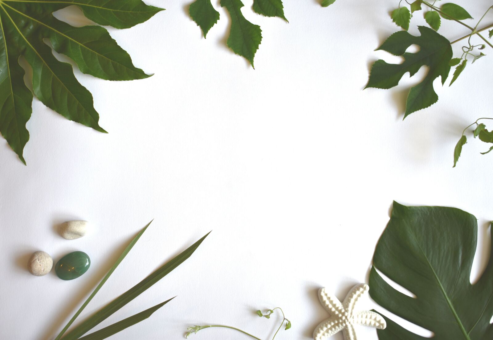 Nikon D3400 sample photo. Tropical, leaves, green photography