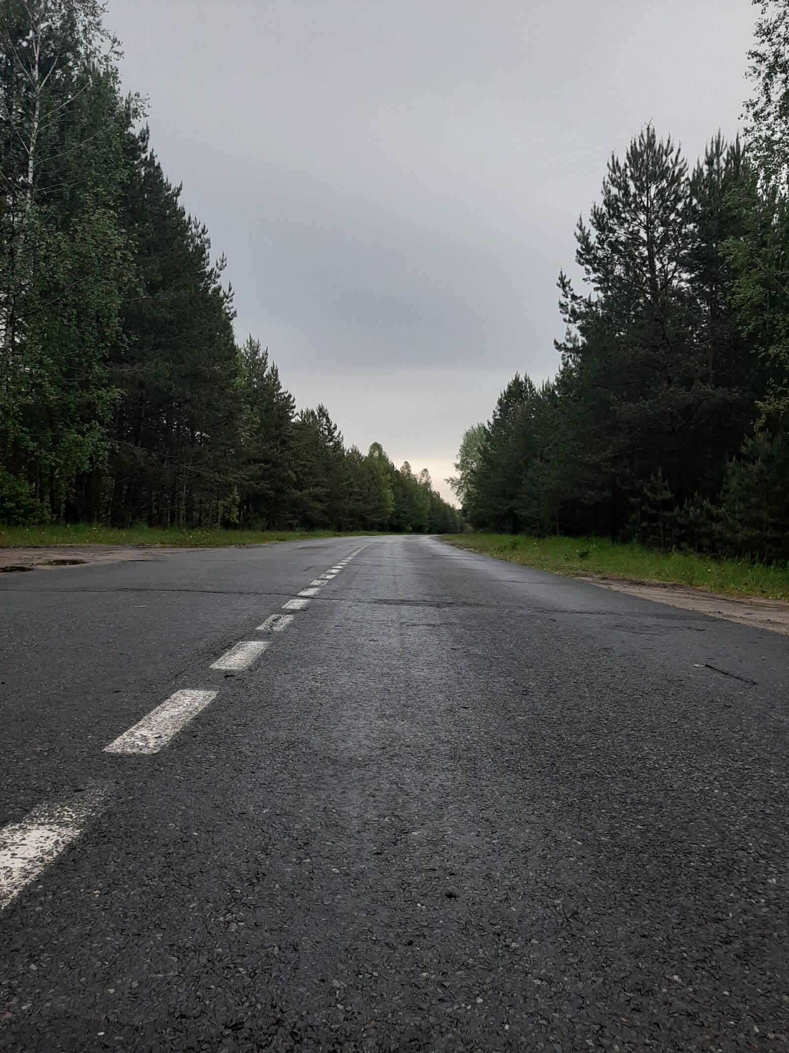 Samsung Galaxy A50 sample photo. Road, rain, forest photography