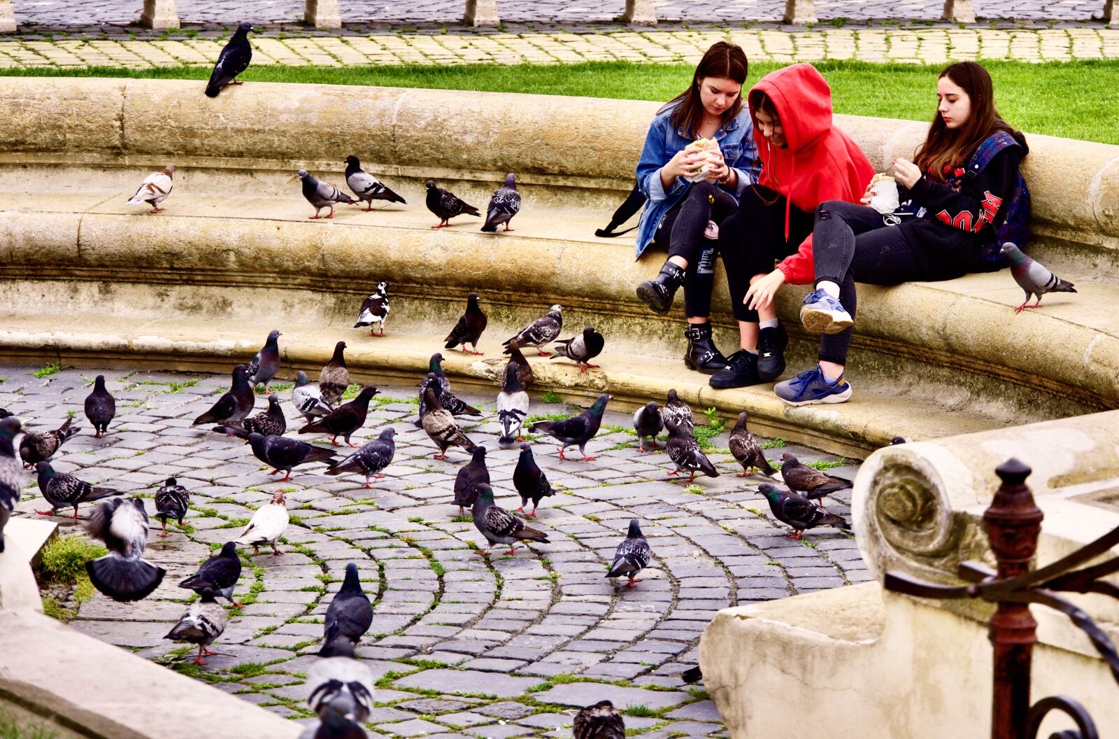 Sony a6500 sample photo. Pigeons, girls, feed photography