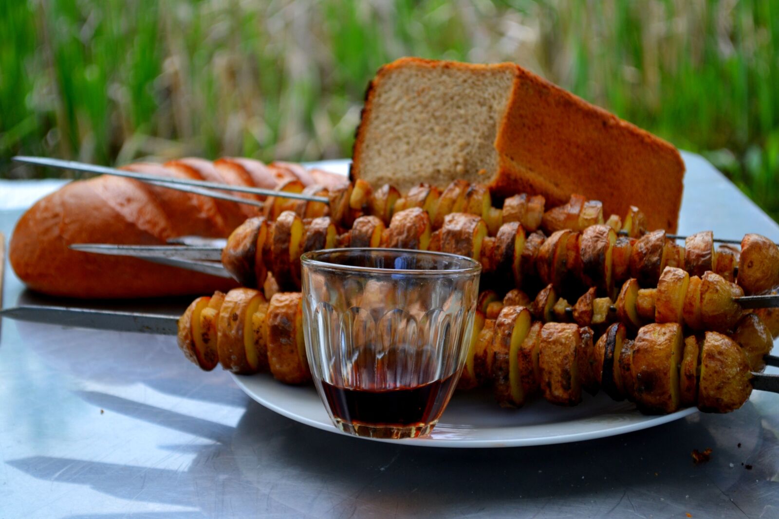 Nikon D3100 sample photo. Shish kebab, without meat photography
