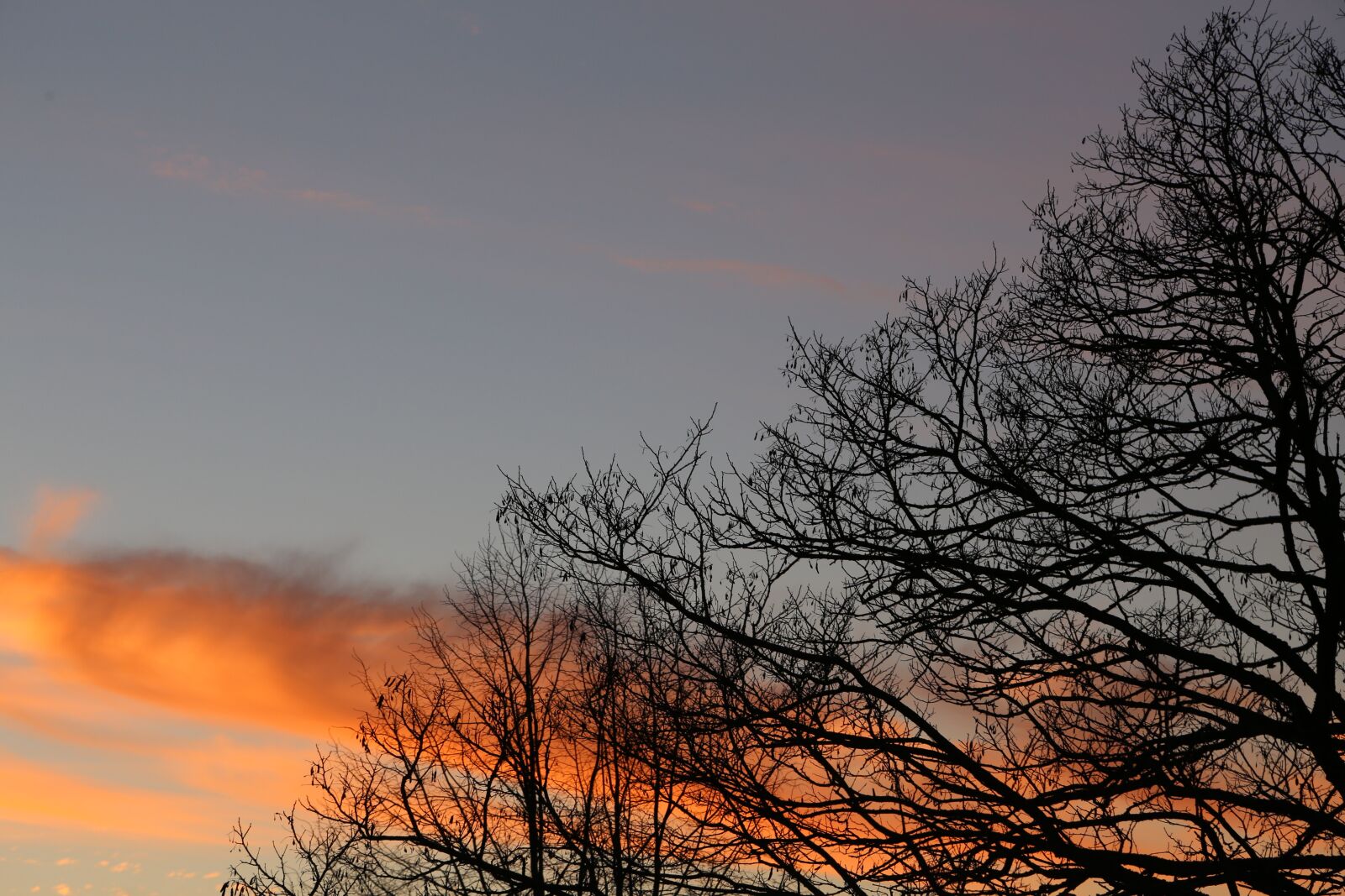 Canon EOS 6D + Canon EF 24-105mm F4L IS USM sample photo. Evening, mood, sky photography