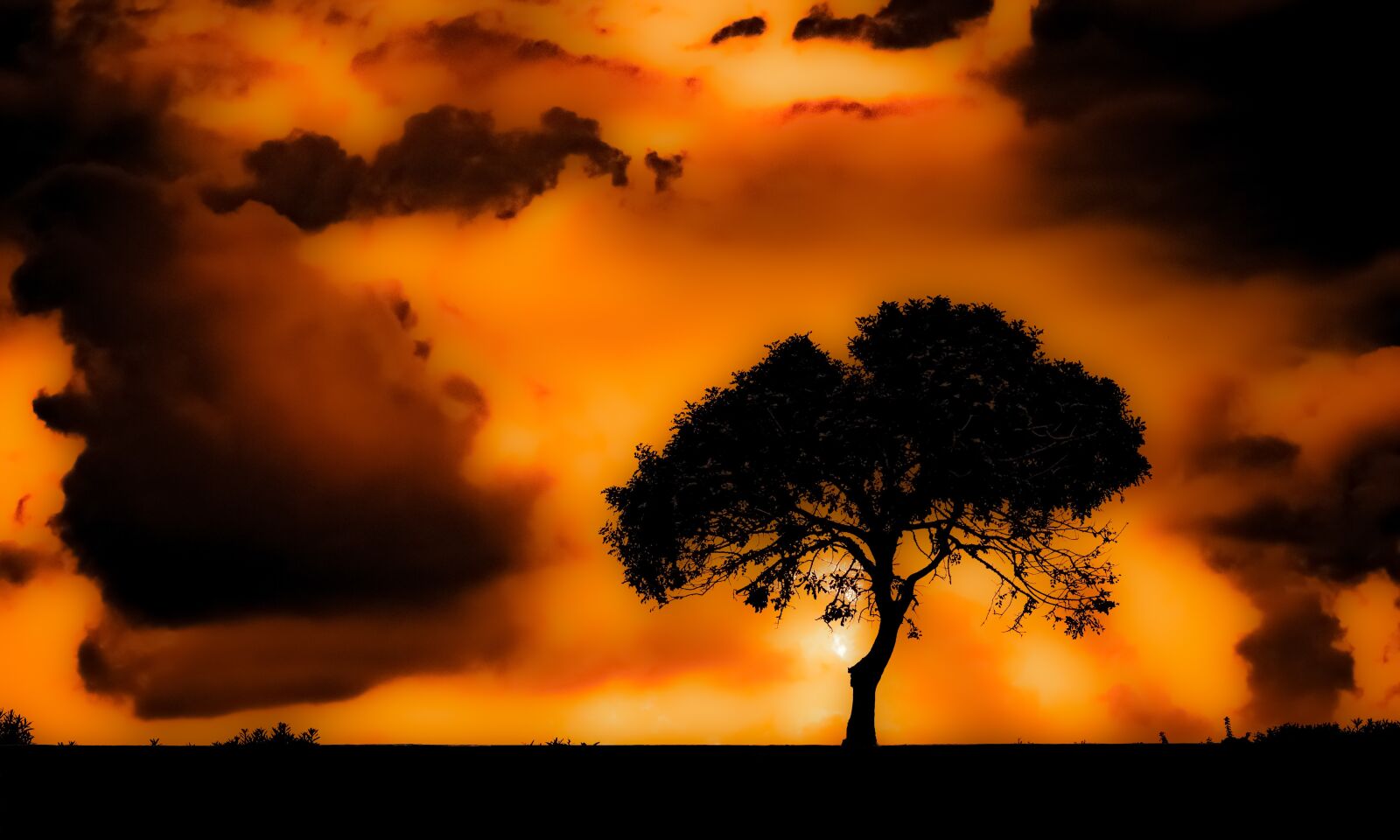 Nikon D3300 sample photo. Tree, sunset, clouds photography