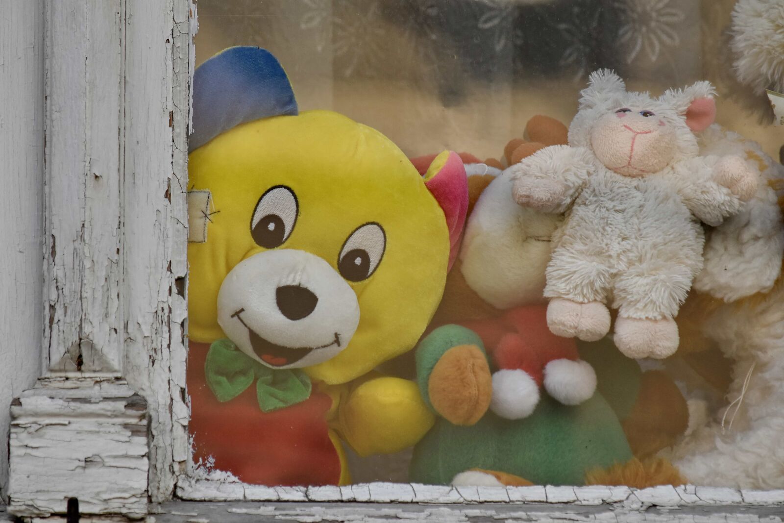 Nikon D5500 sample photo. Toys, window, teddy bear photography
