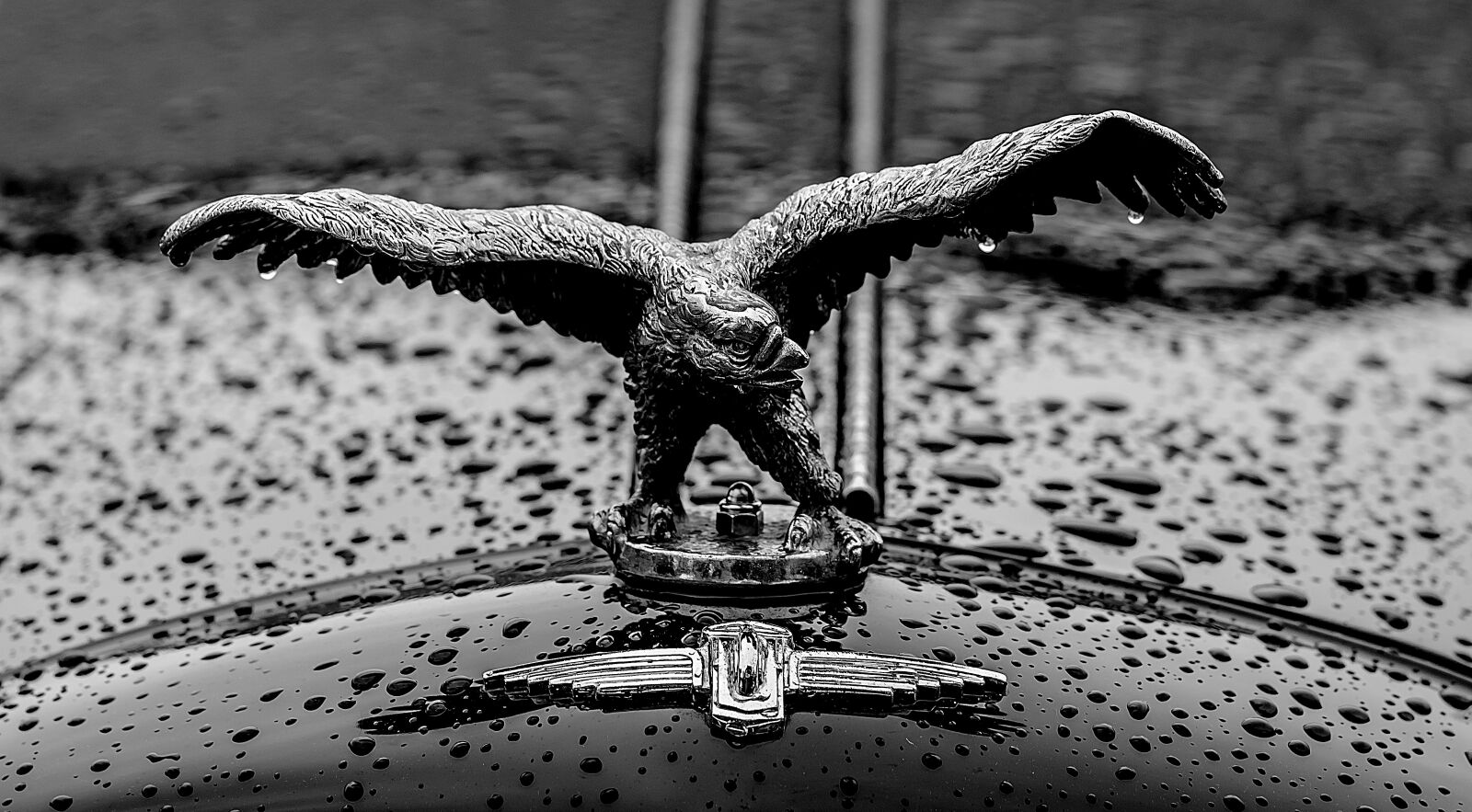 Nikon D7000 sample photo. Black, white, car badge photography