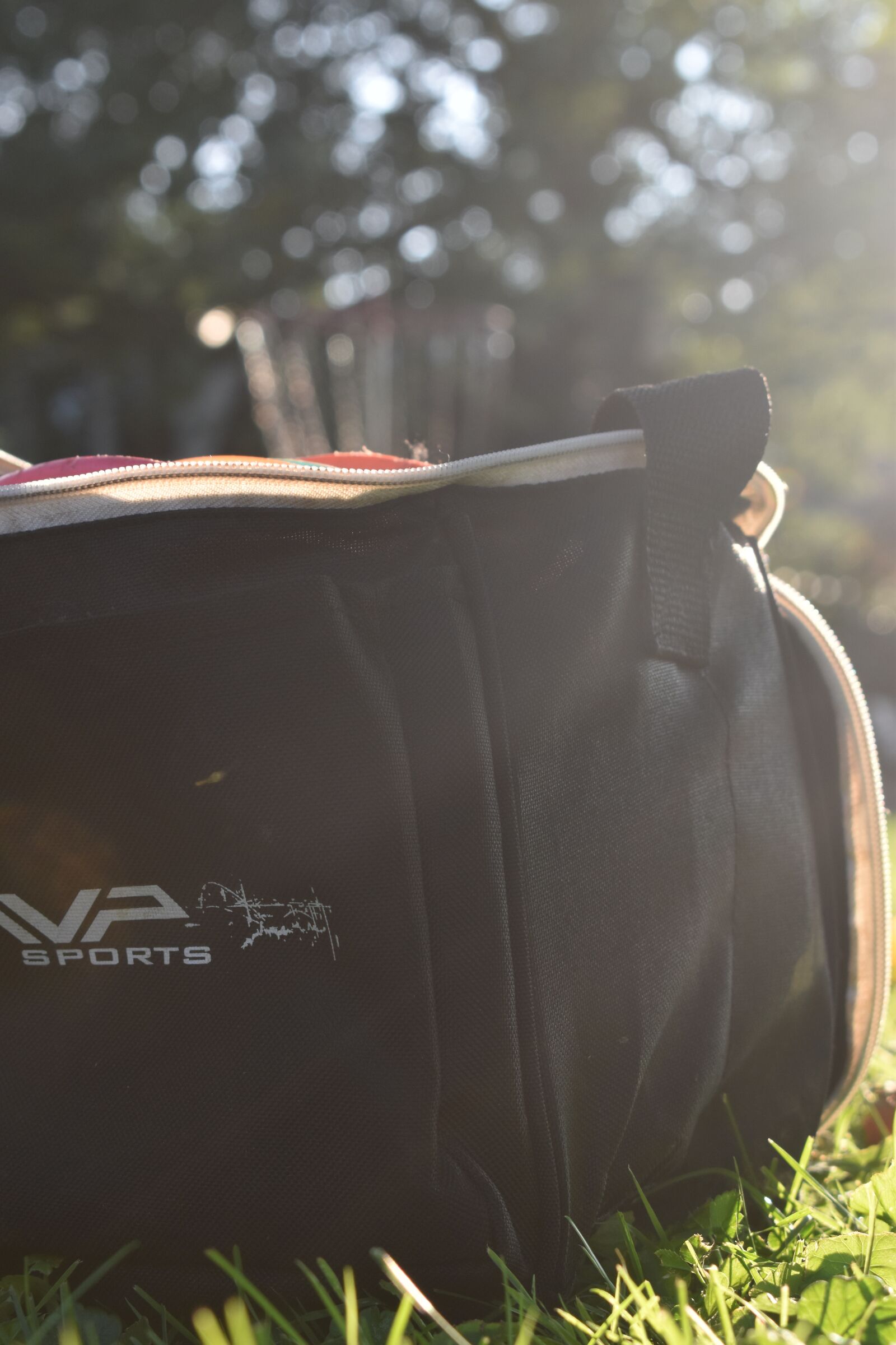 Nikon D5600 sample photo. Disc golf, discs, basket photography