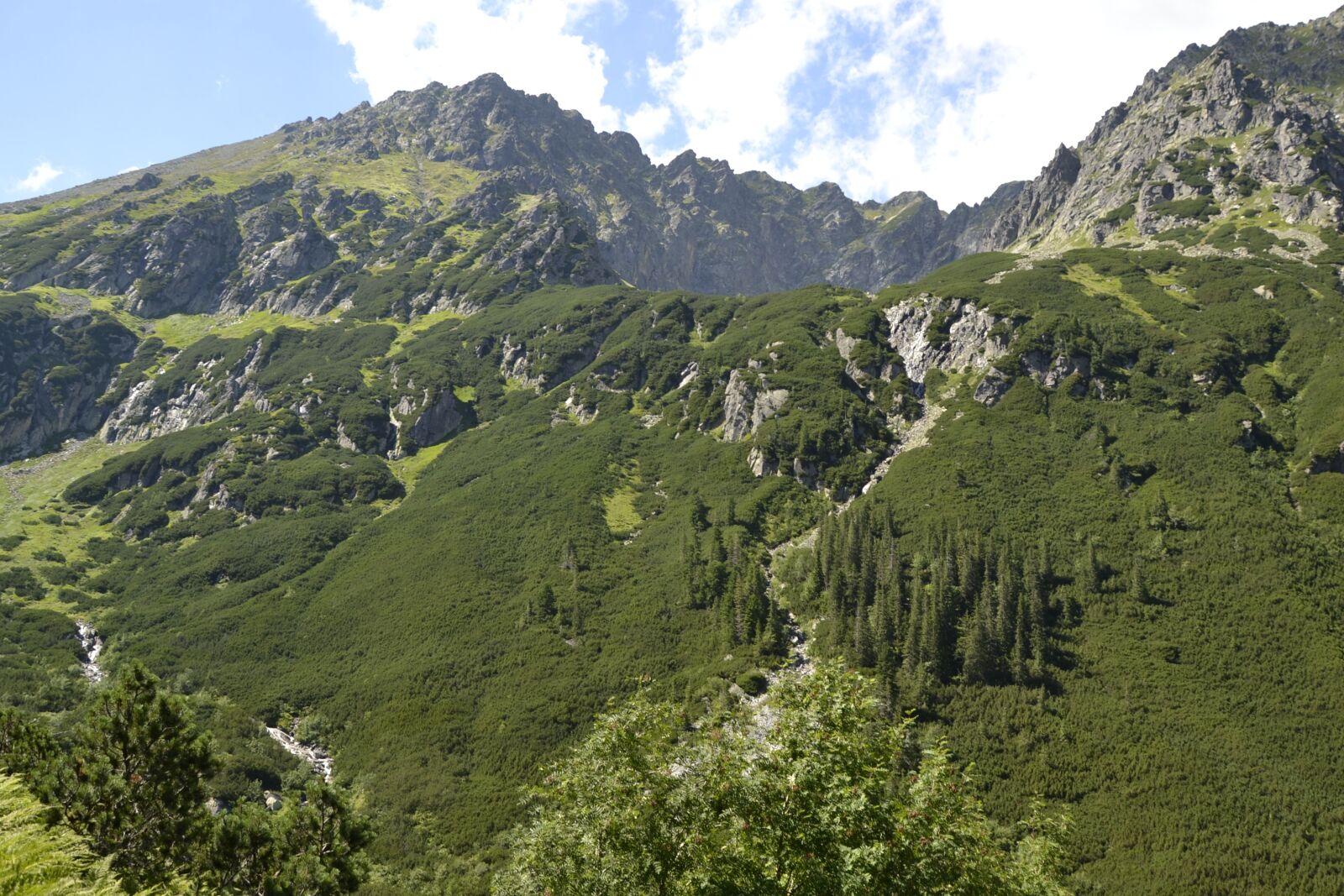 Nikon D3100 sample photo. Mountains, buried, valley of photography