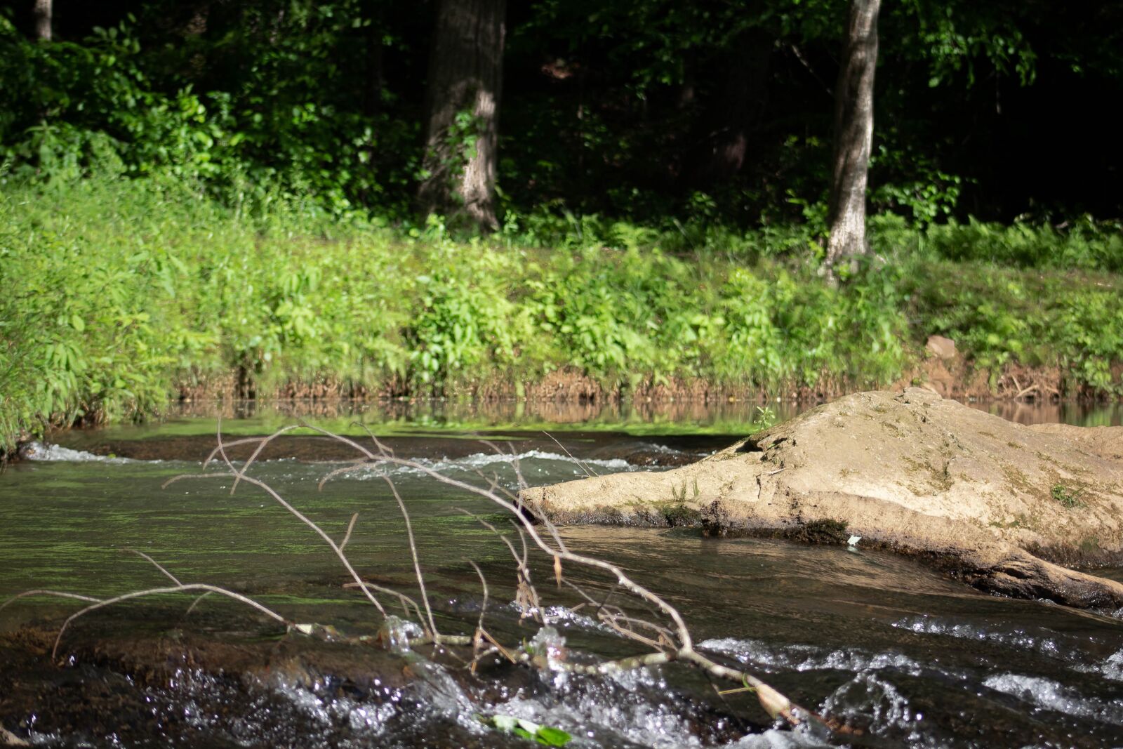 Canon EOS 1300D (EOS Rebel T6 / EOS Kiss X80) sample photo. Nature, river, landscape photography