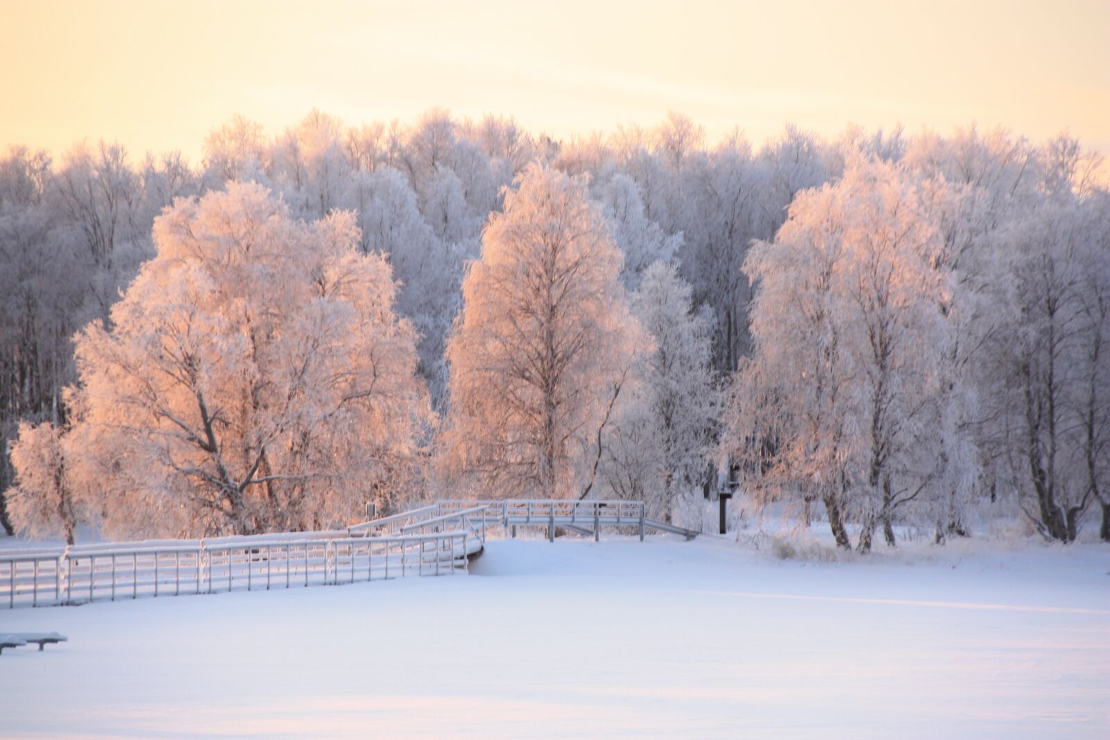 Canon EOS 450D (EOS Rebel XSi / EOS Kiss X2) sample photo. Snow, lapland, winter photography