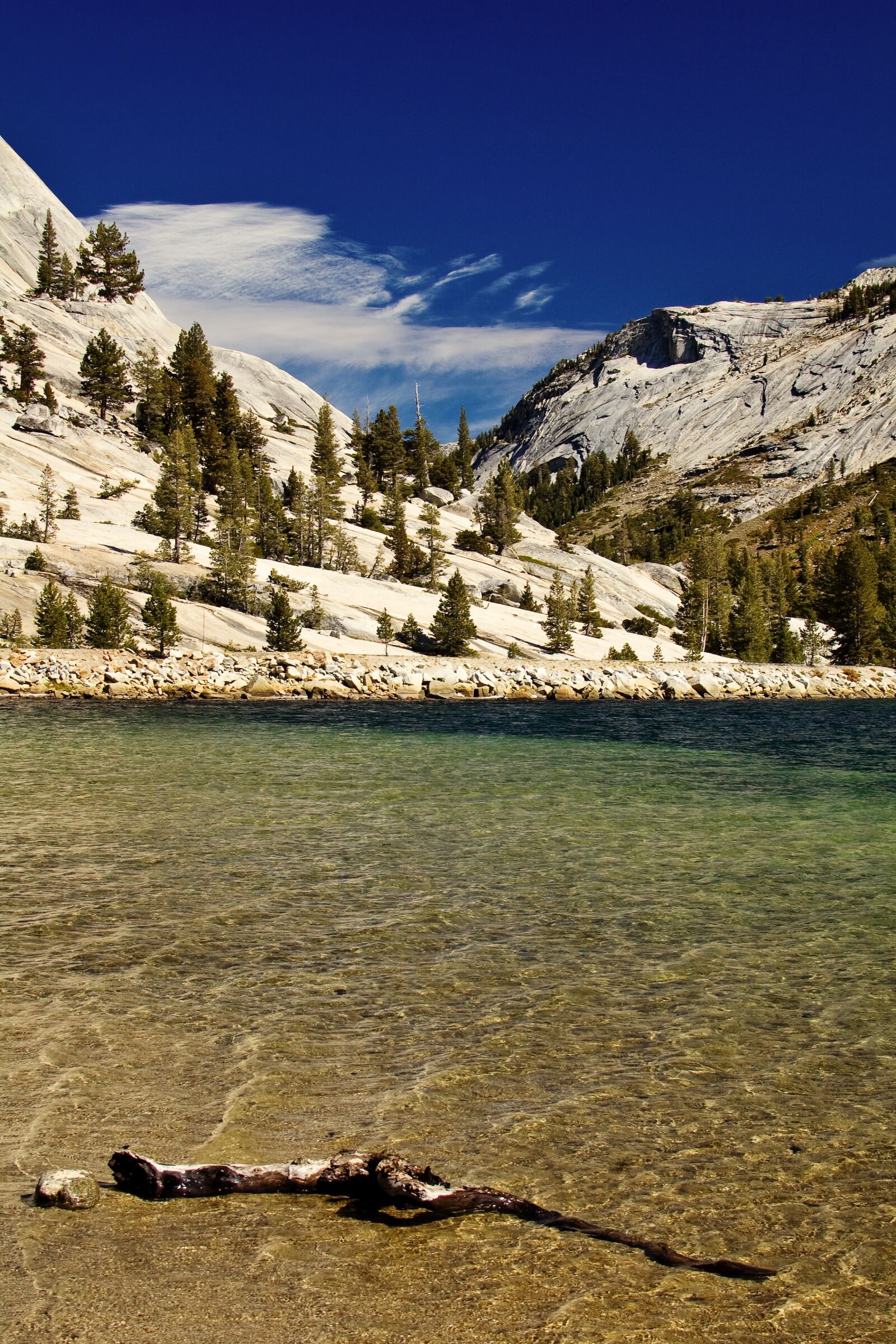 Nikon D50 sample photo. Yosemite, national park, california photography