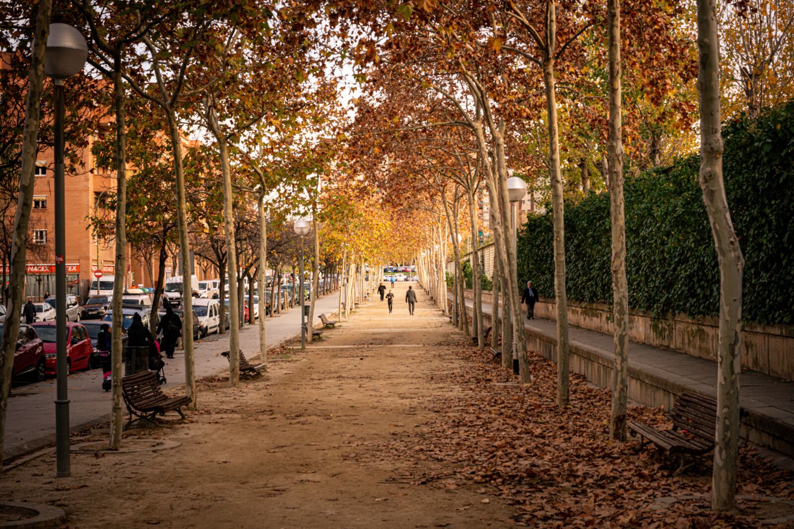 Sony Sonnar T* FE 55mm F1.8 ZA sample photo. Nou barris, barcelona, winter photography
