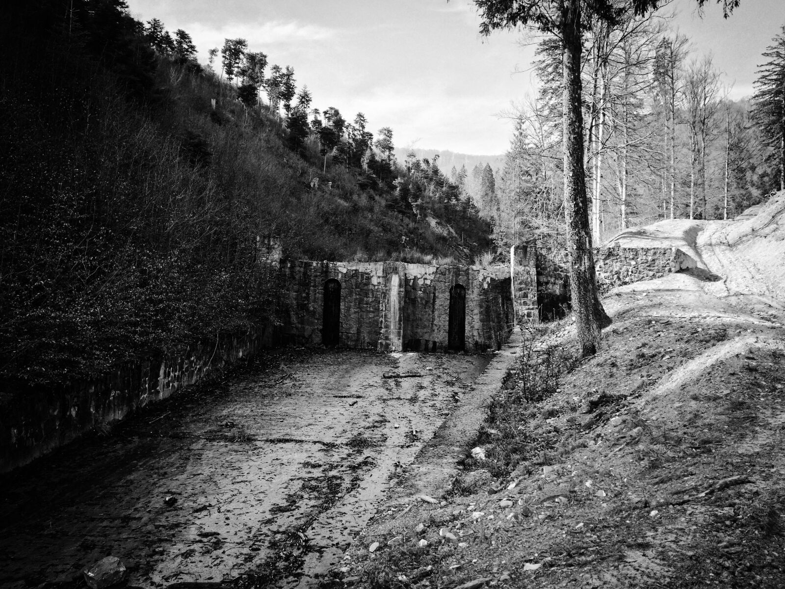 iPhone 5s back camera 4.15mm f/2.2 sample photo. Black and white, autumn photography
