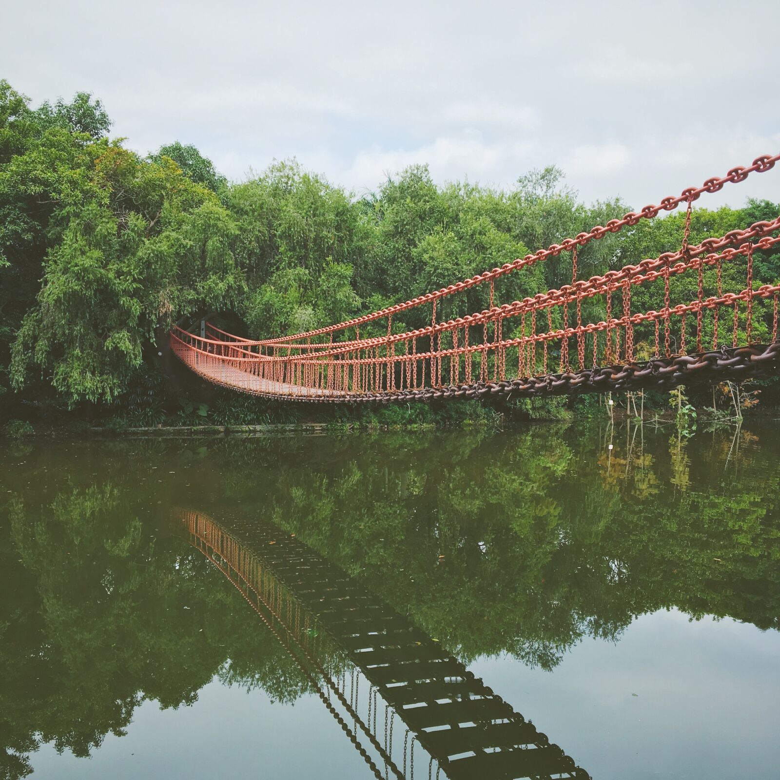 Apple iPhone 6s sample photo. Suspension bridge, beck, reflection photography