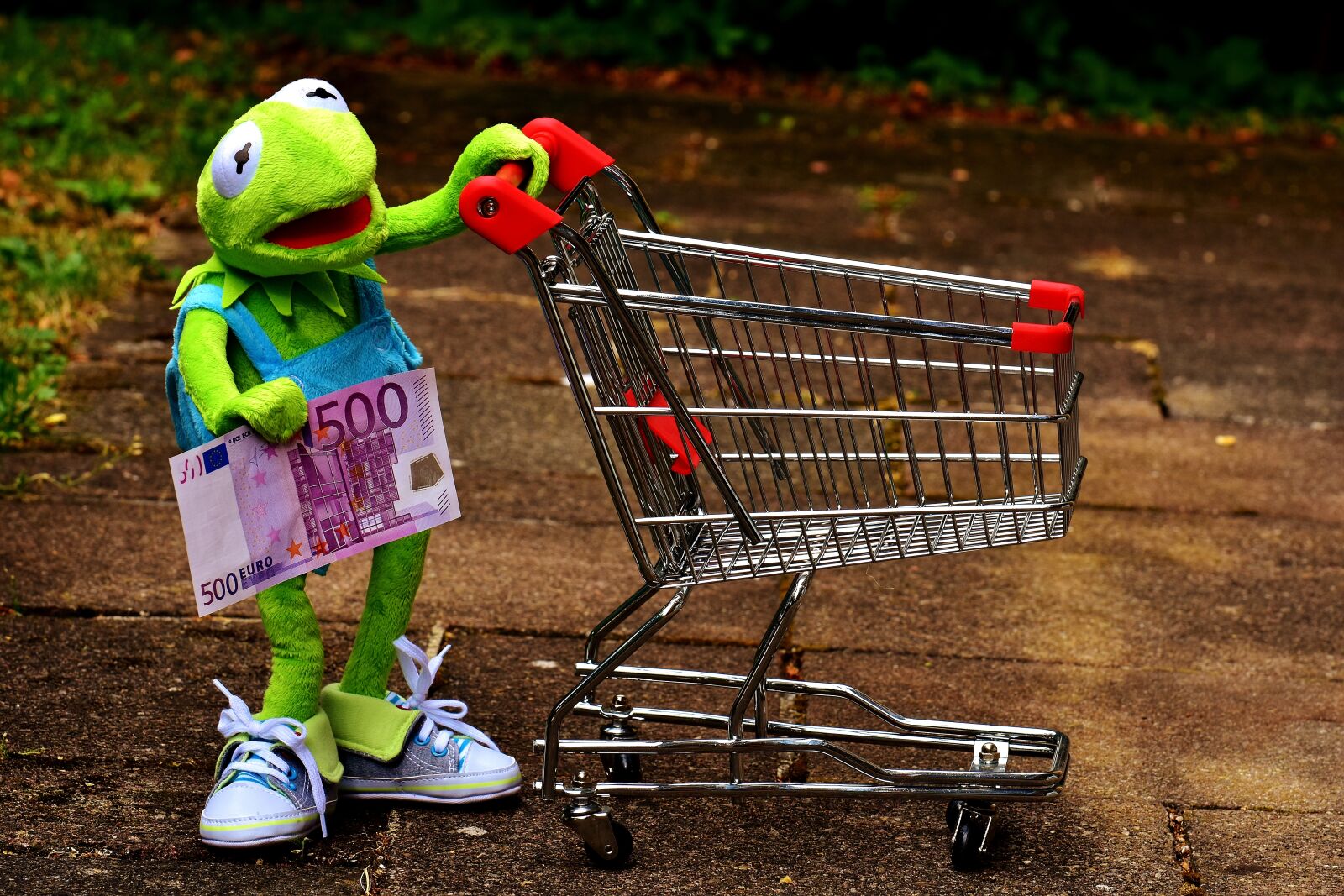 Nikon D7200 sample photo. Kermit, shopping cart, shopping photography