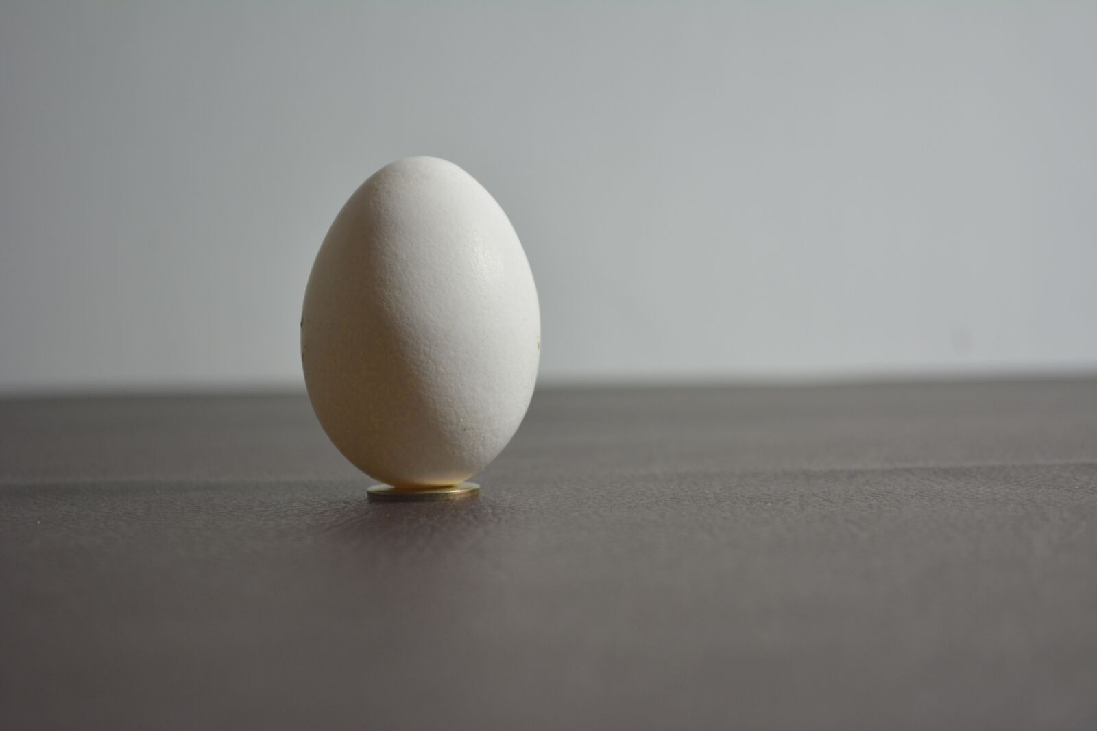 Nikon D5200 sample photo. Egg, shadows, light photography