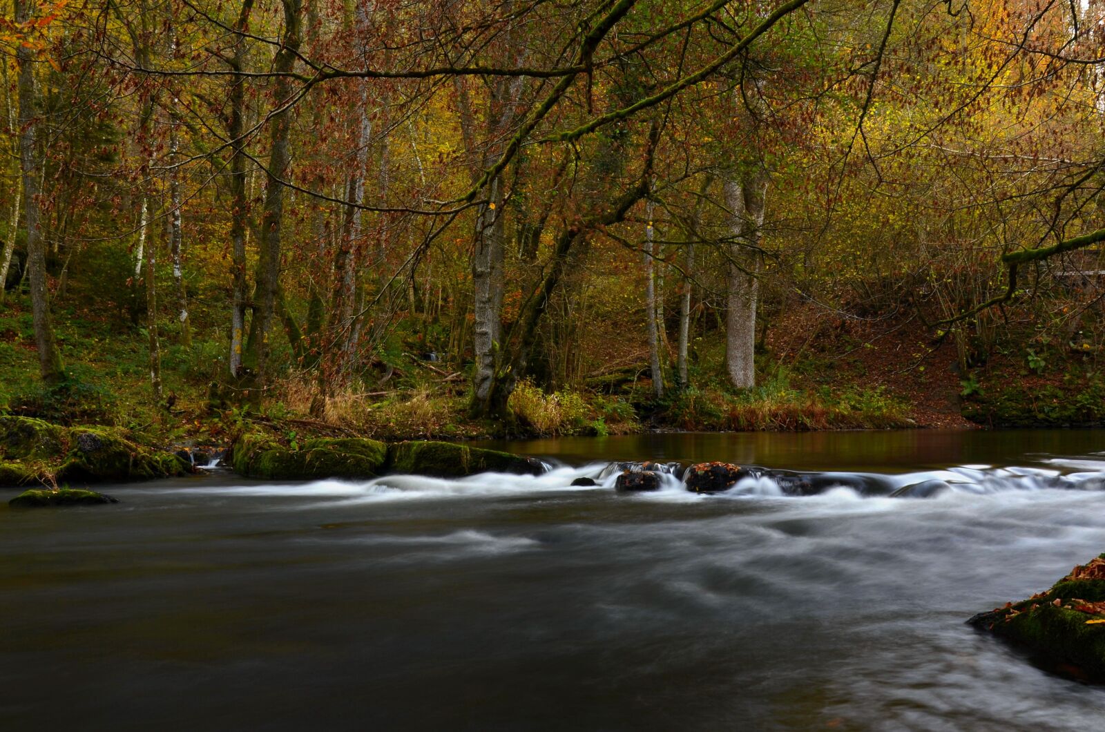 Nikon D5100 sample photo. River, ardennes, long exposure photography