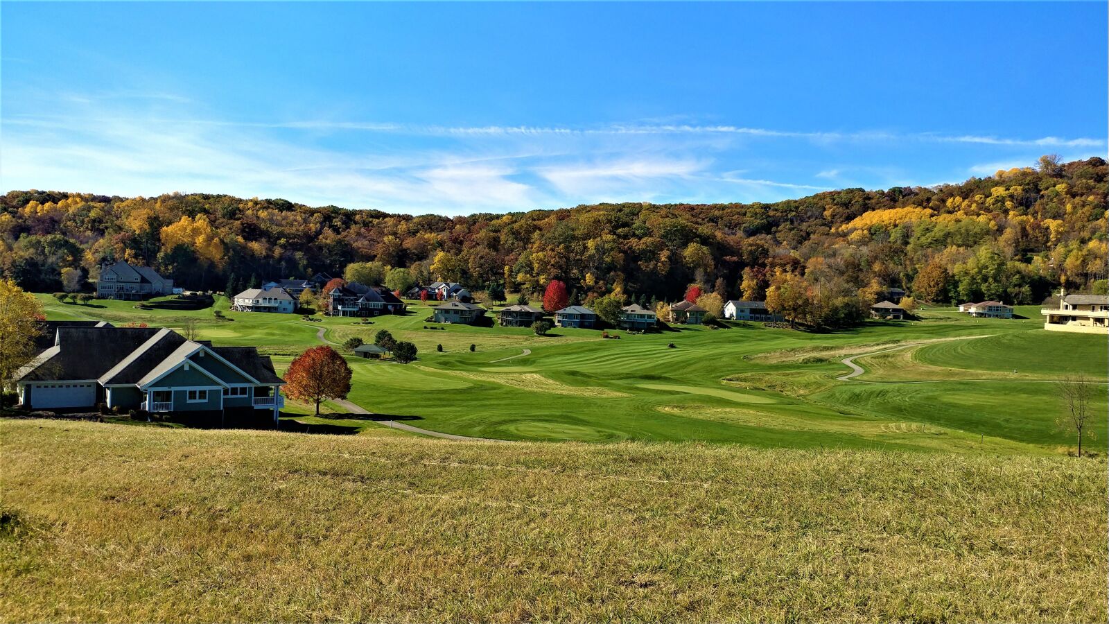 LG V20 sample photo. Grass, golf, landscape photography