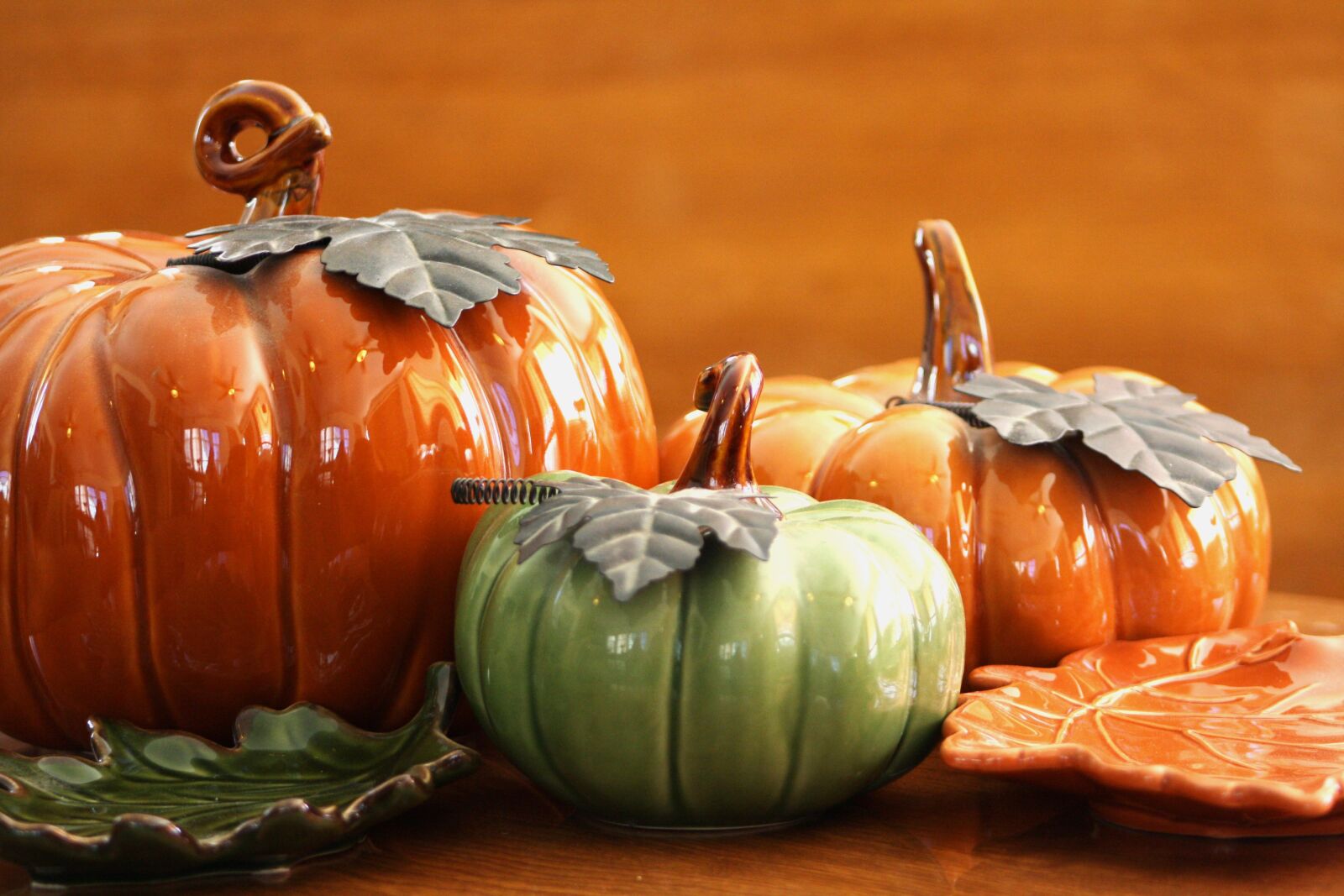 Canon EOS 1000D (EOS Digital Rebel XS / EOS Kiss F) sample photo. Thanksgiving, pumpkin, seasonal photography
