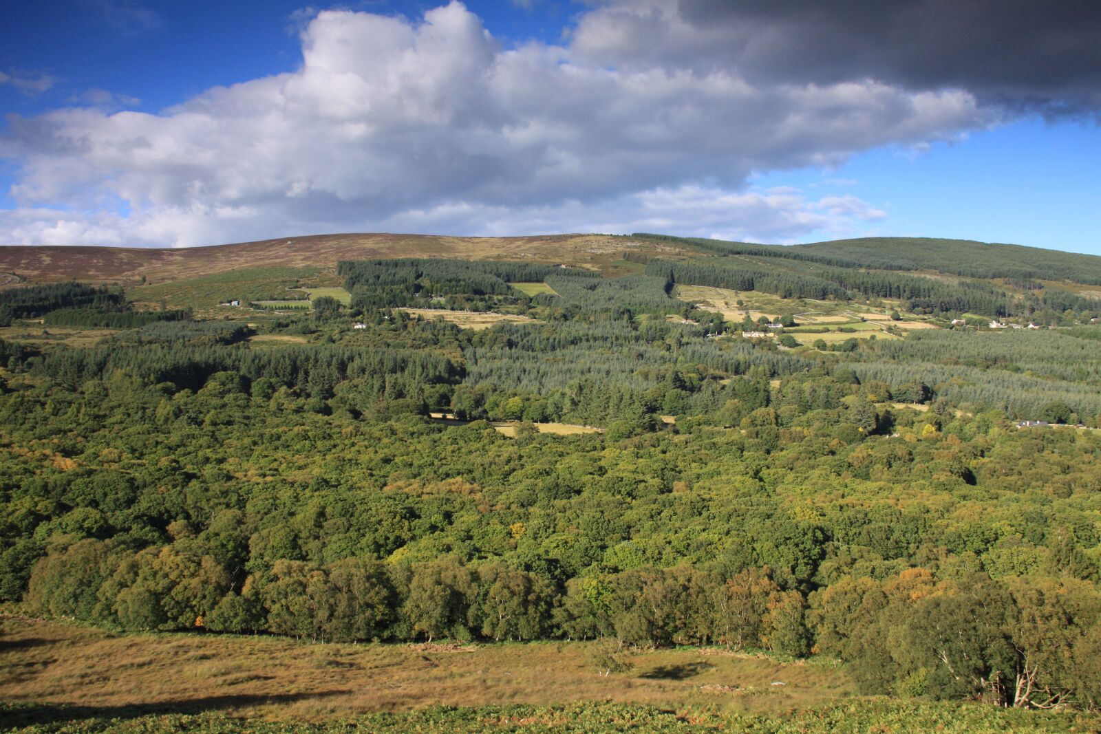 Canon EOS 50D sample photo. Glencree, woodland, wicklow photography