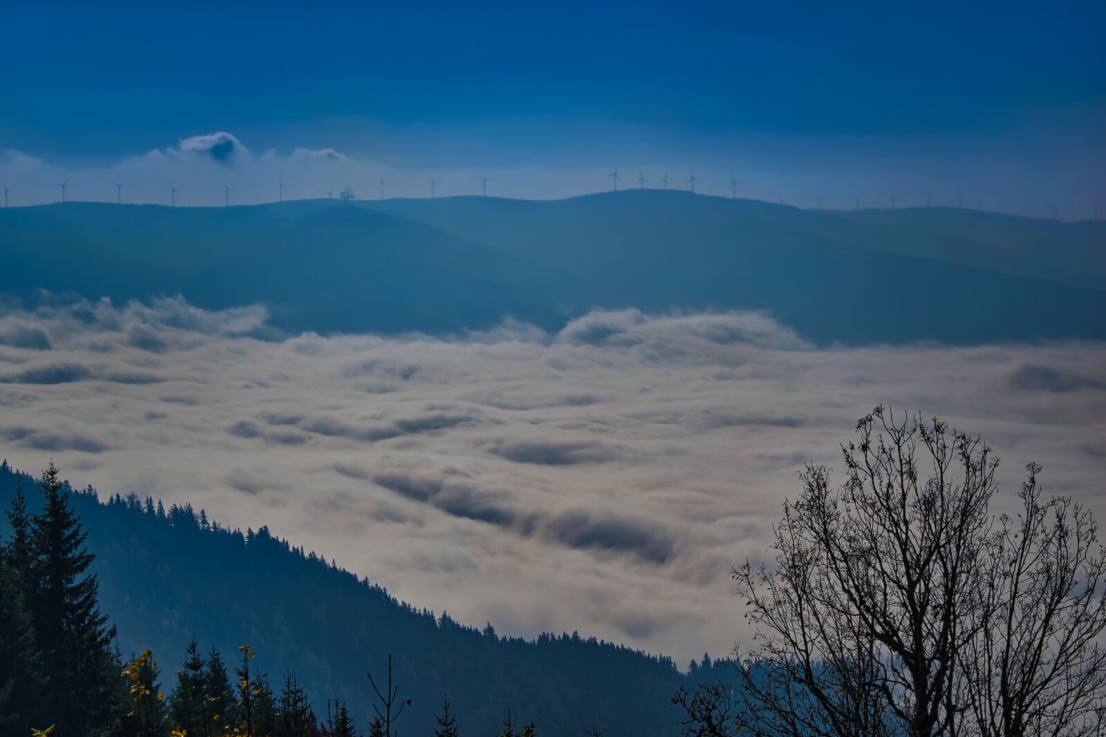 Nikon D5300 sample photo. Wisp, scenic, disc photography