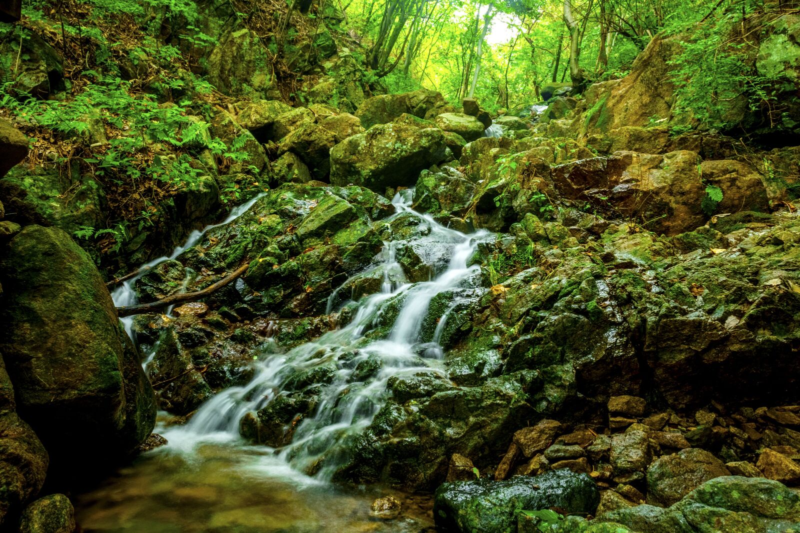 Tamron SP 24-70mm F2.8 Di VC USD sample photo. Jiri, valley, korea's natural photography