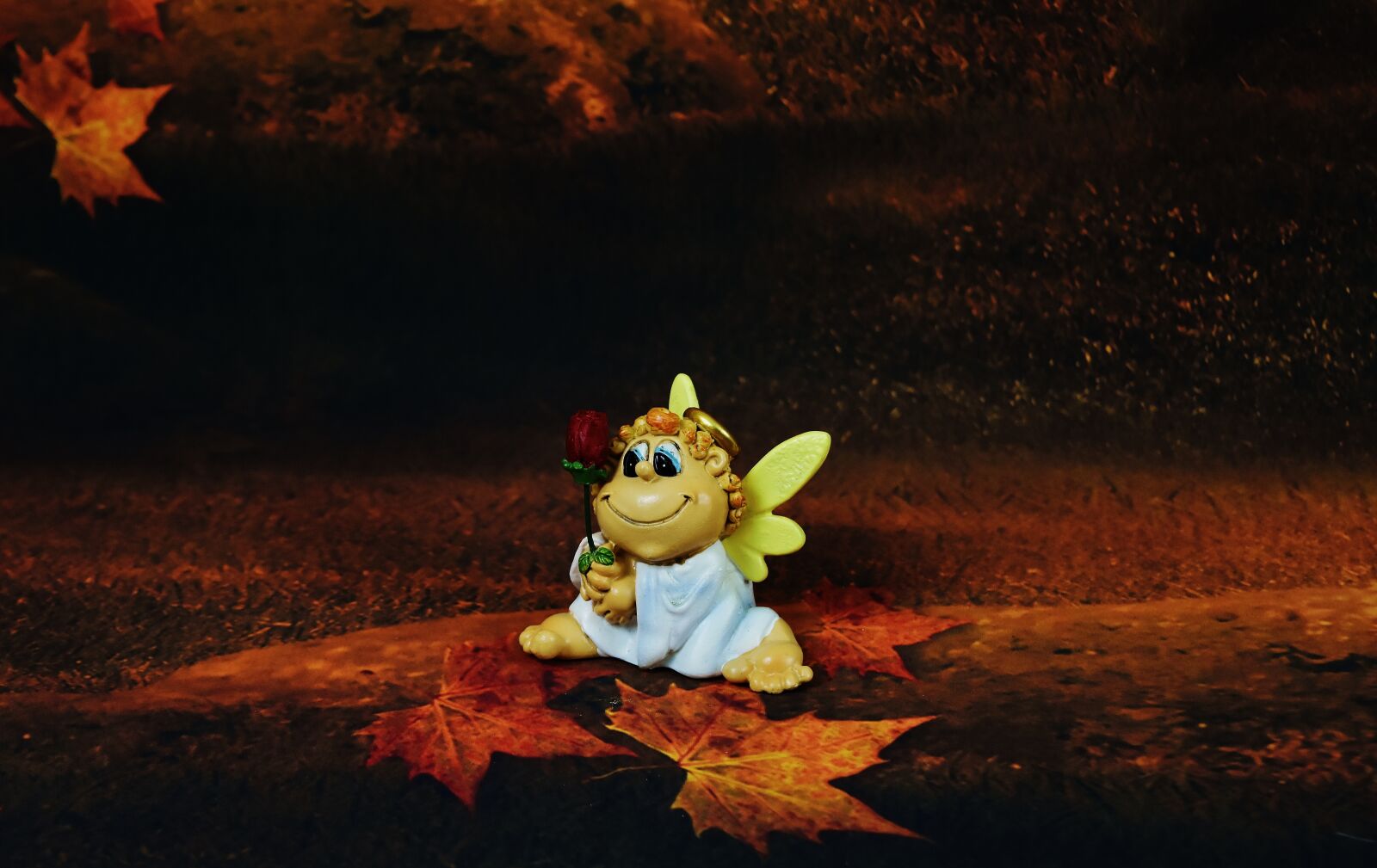 Nikon D7200 sample photo. Little angel, rose, love photography