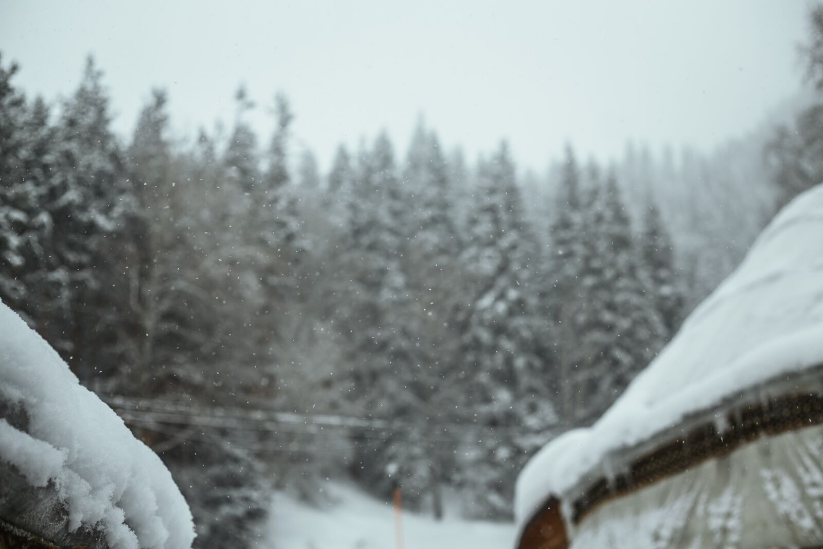 Canon EF 50mm F1.8 II sample photo. Visitalmaty, almaty, canyon photography