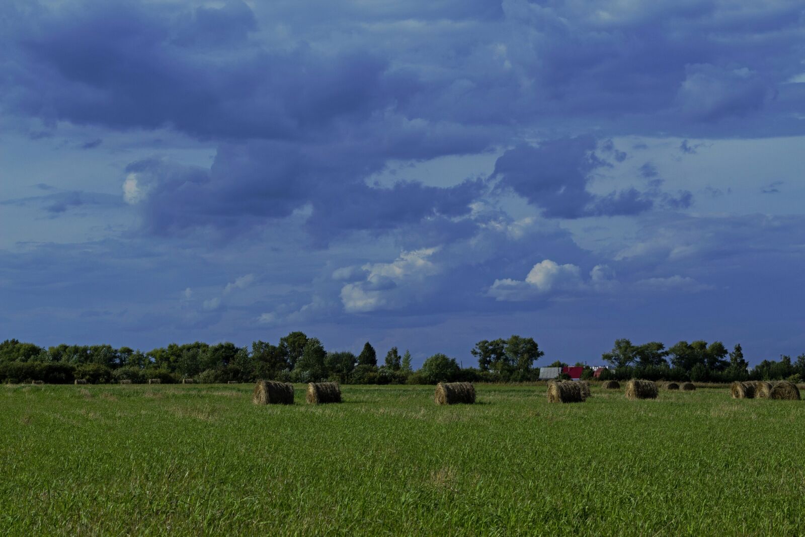 Canon EOS 600D (Rebel EOS T3i / EOS Kiss X5) + Canon EF 50mm F1.8 II sample photo. Field, hay, clouds photography