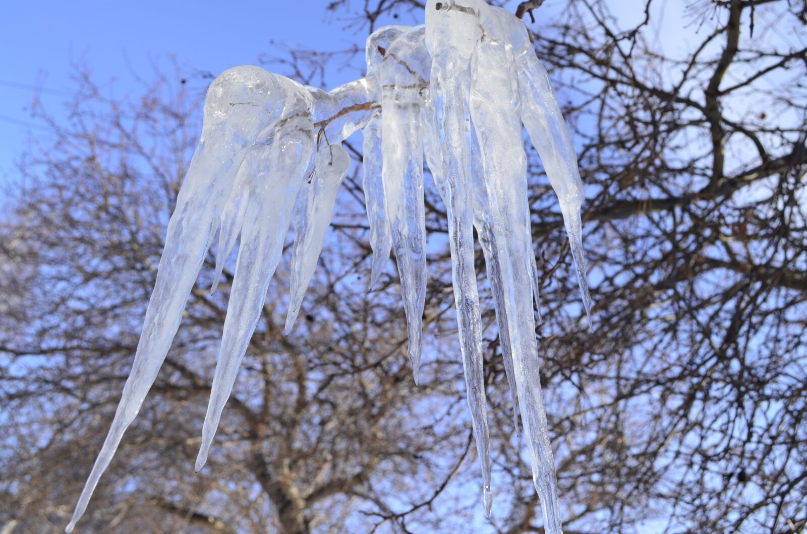 Nikon D5100 sample photo. Icicles, thaw, spring photography