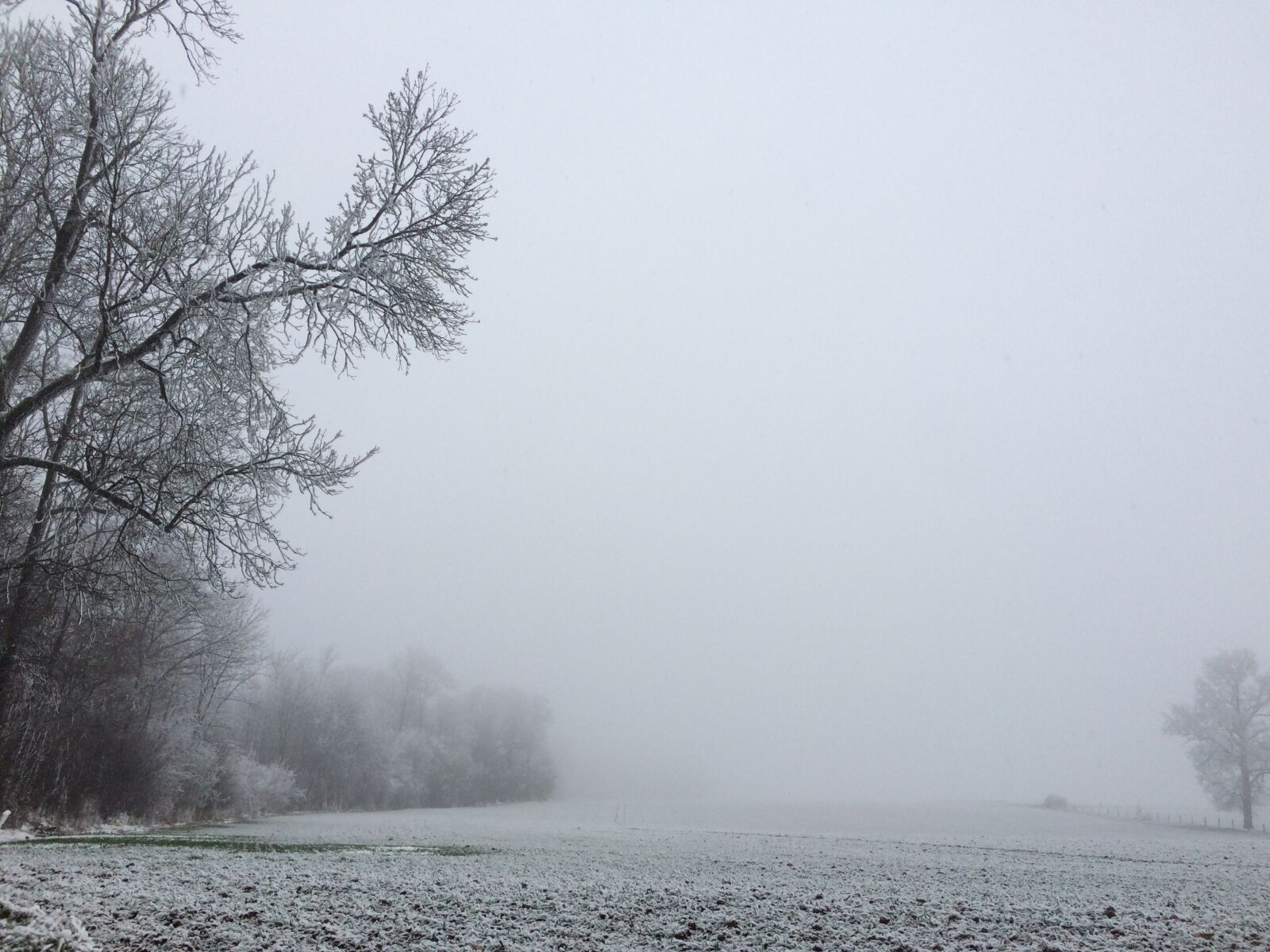 iPhone 5s back camera 4.15mm f/2.2 sample photo. Snow, winter landscape, trees photography