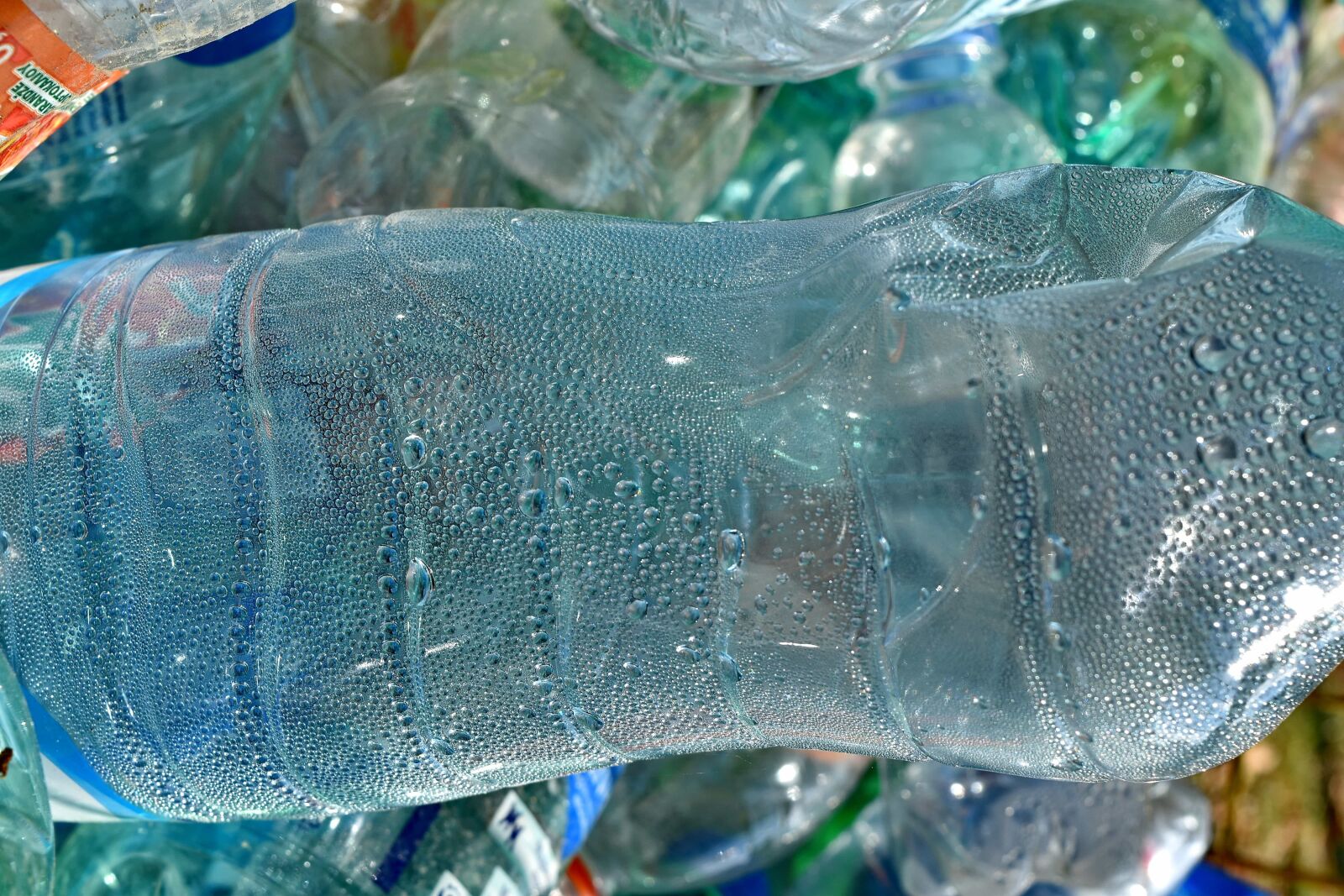 Nikon D5500 sample photo. Garbage, plastic, recycling, wet photography