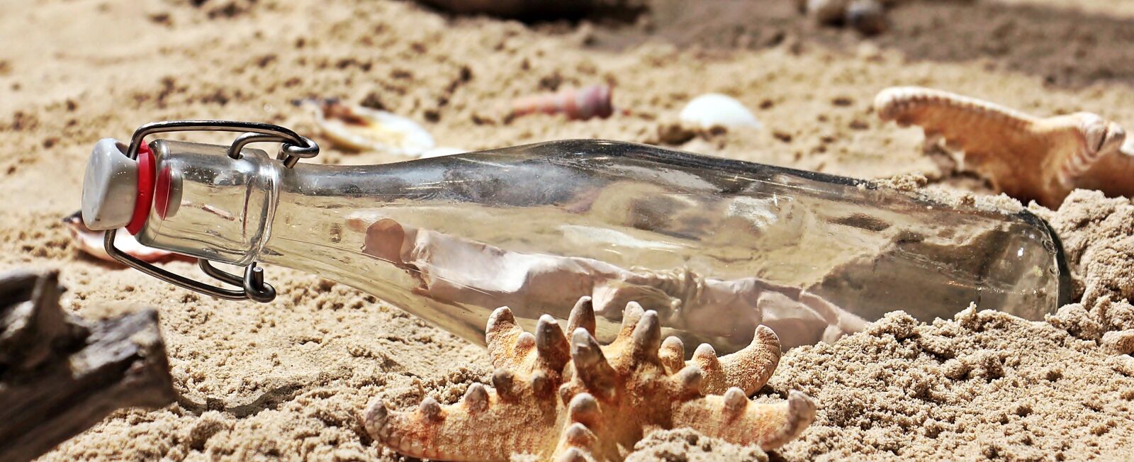 Canon EOS 550D (EOS Rebel T2i / EOS Kiss X4) sample photo. Message in a bottle photography