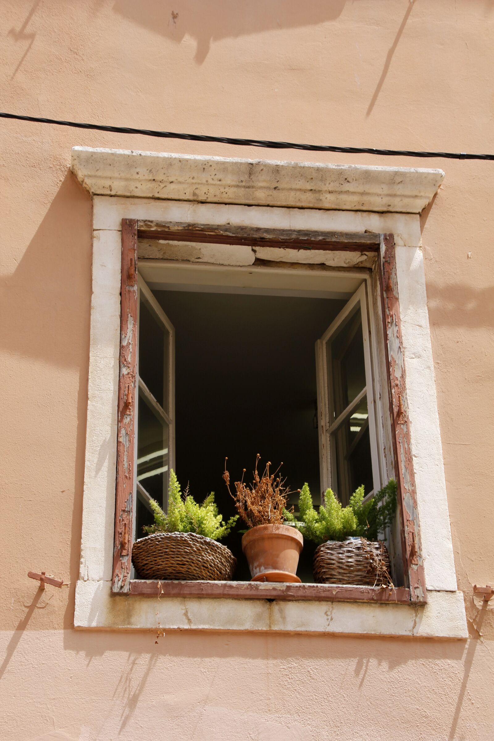 Canon EOS 60D sample photo. Window, plant, old photography