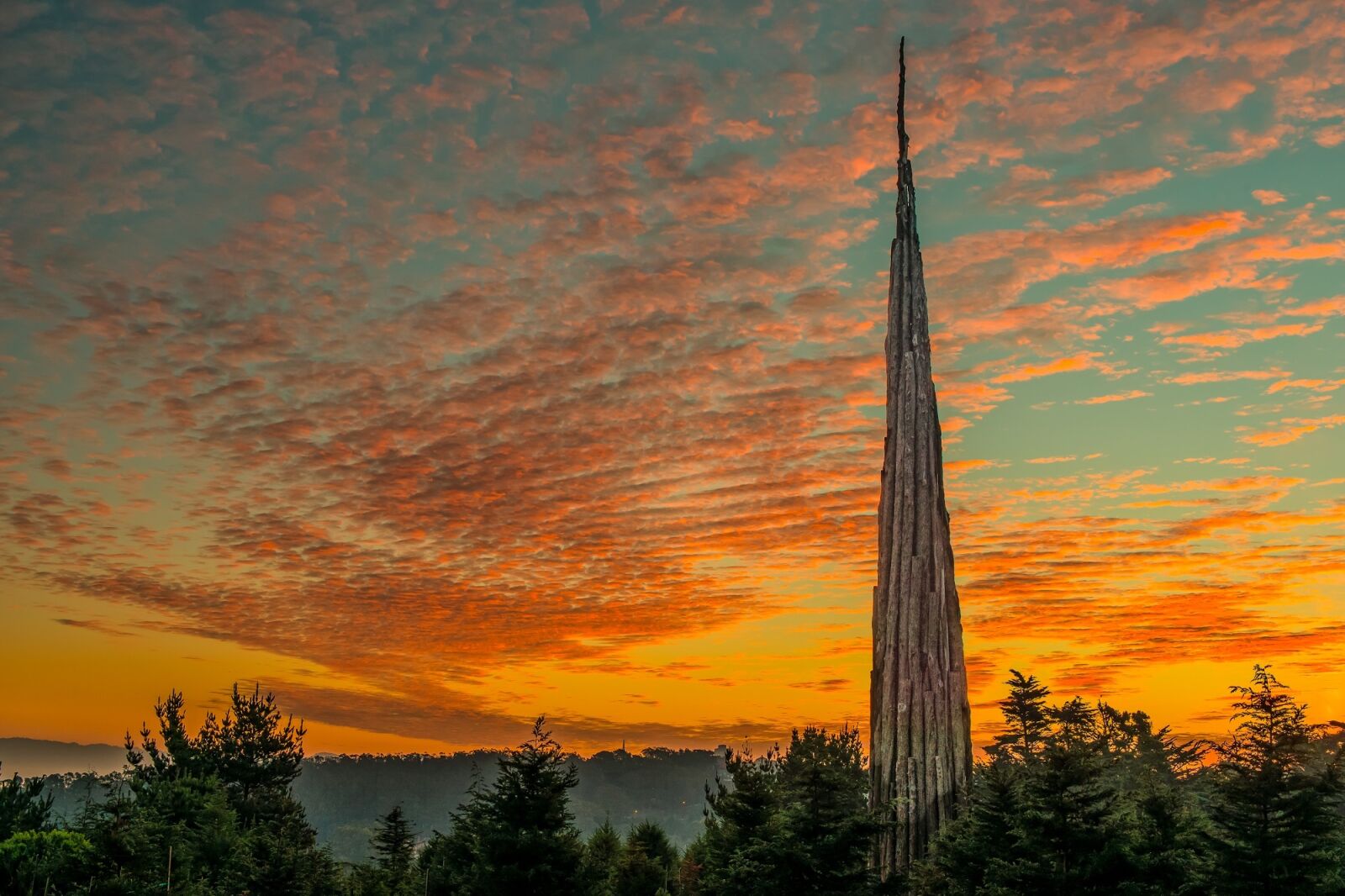 Nikon D800 sample photo. Sunset, sculpture, wood photography
