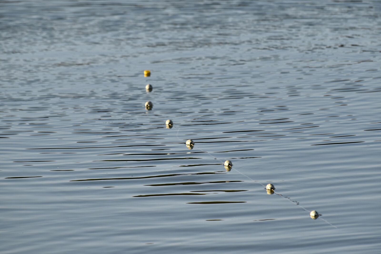 Nikon D5500 sample photo. Calm, fishing, fishing gear photography