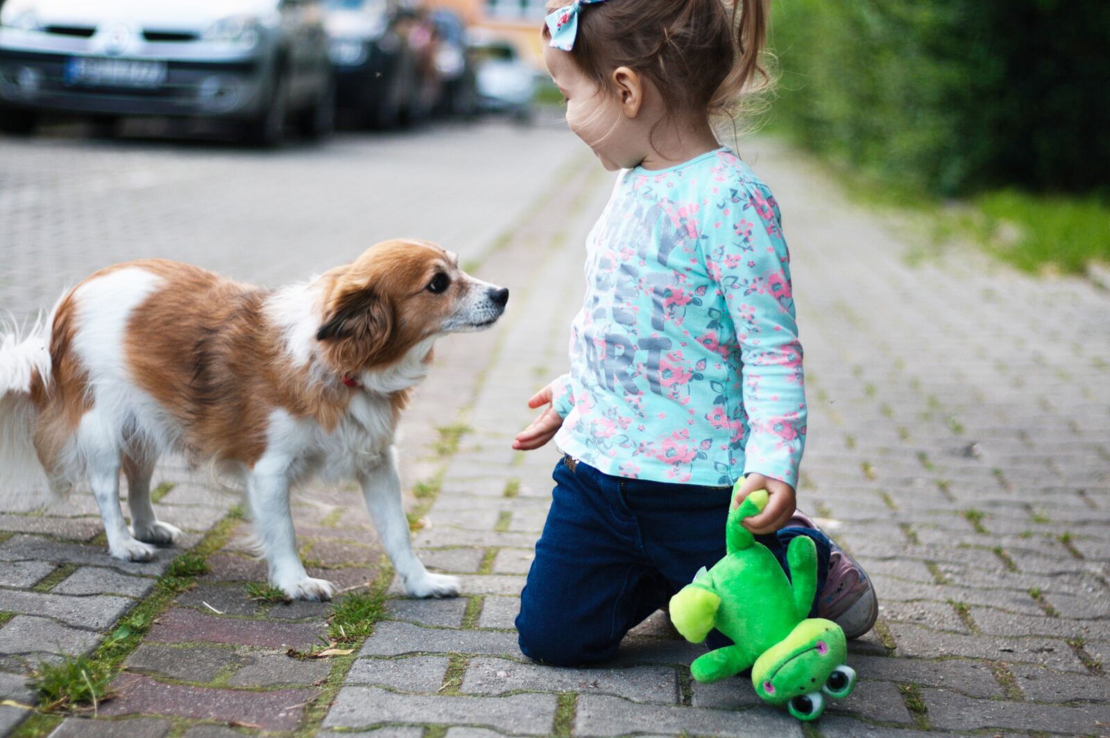 Canon EOS 400D (EOS Digital Rebel XTi / EOS Kiss Digital X) sample photo. The little girl, dog photography